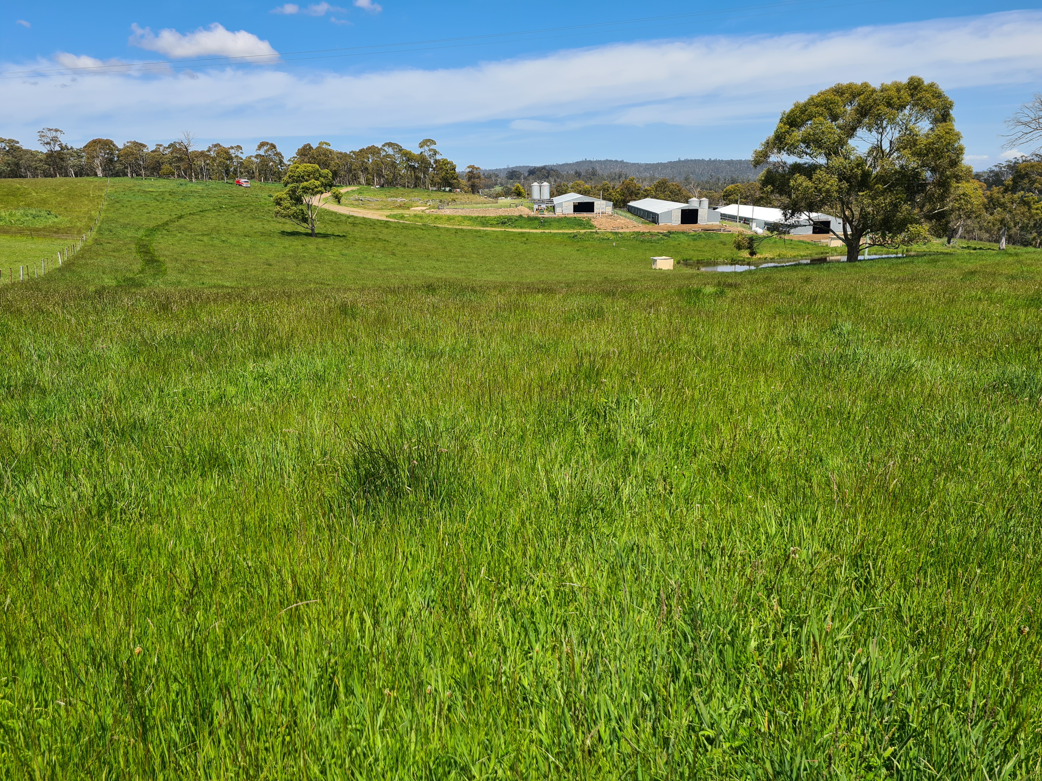 1461 Nugent Road, Nugent, TAS, 7172 - Image 6