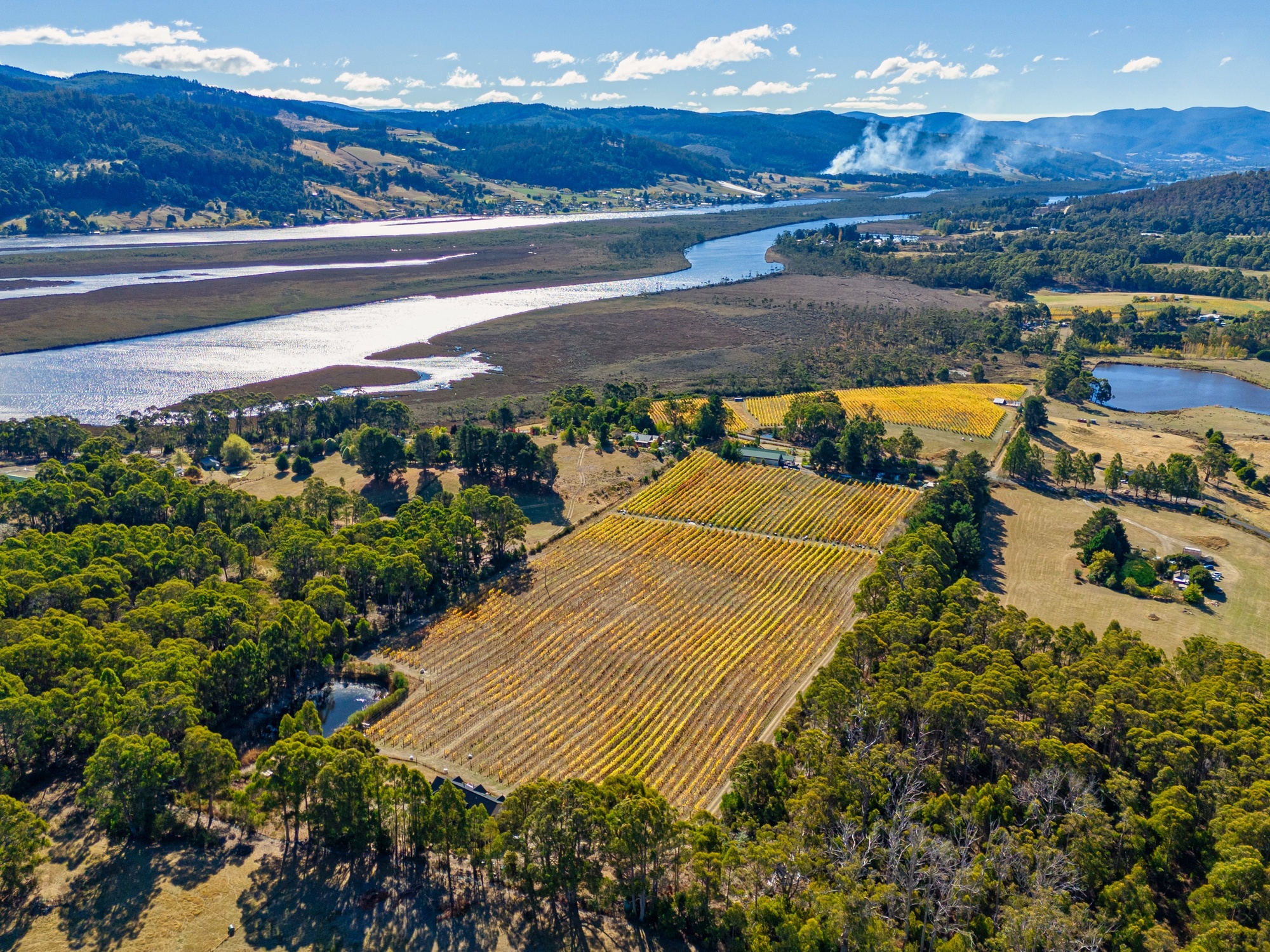 1848 Cygnet Coast Road, Cradoc, TAS, 7109 - Image 1