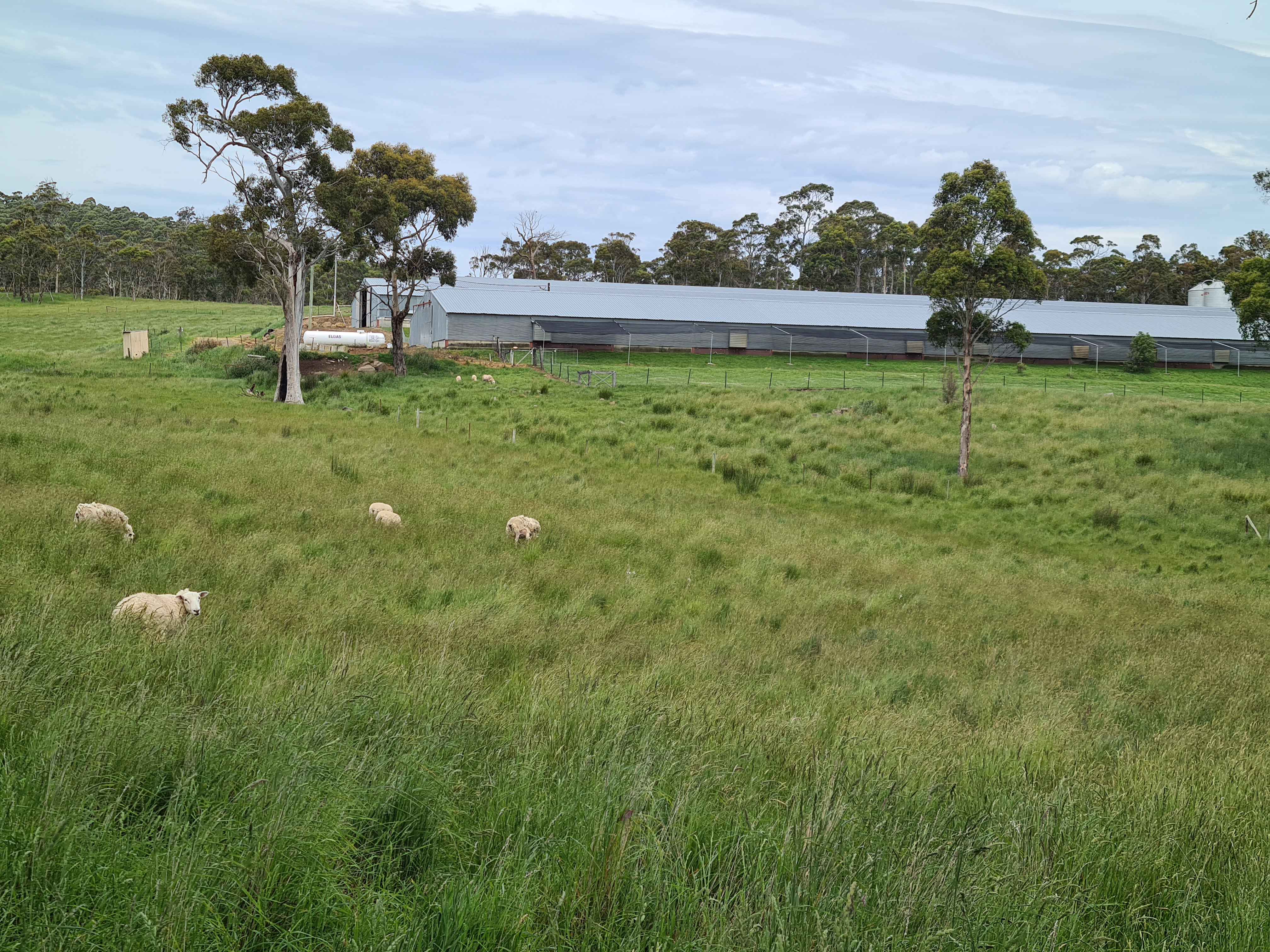 1461 Nugent Road, Nugent, TAS, 7172 - Image 7