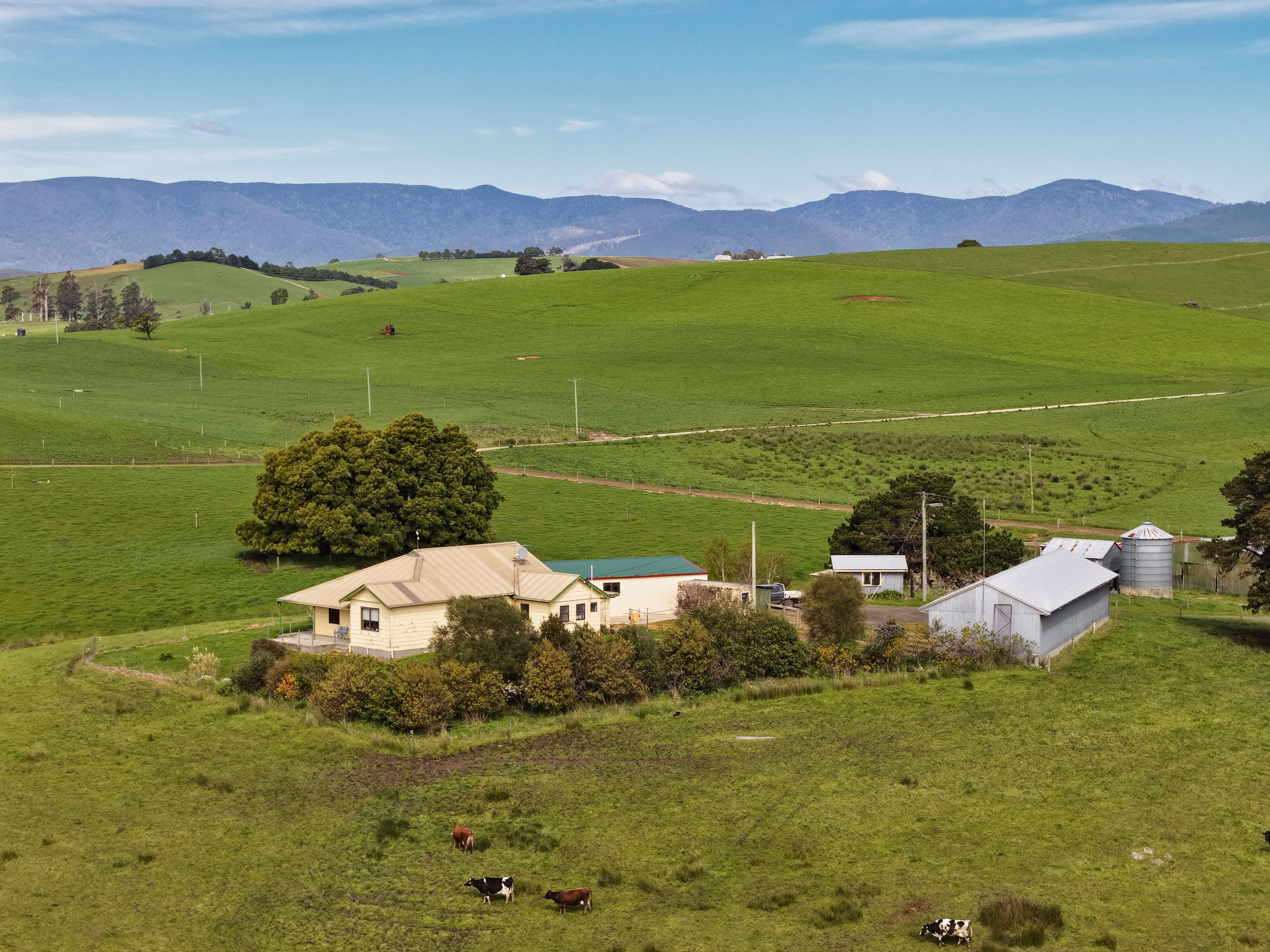 110 Willis Road, Lietinna, TAS, 7260 - Image 15