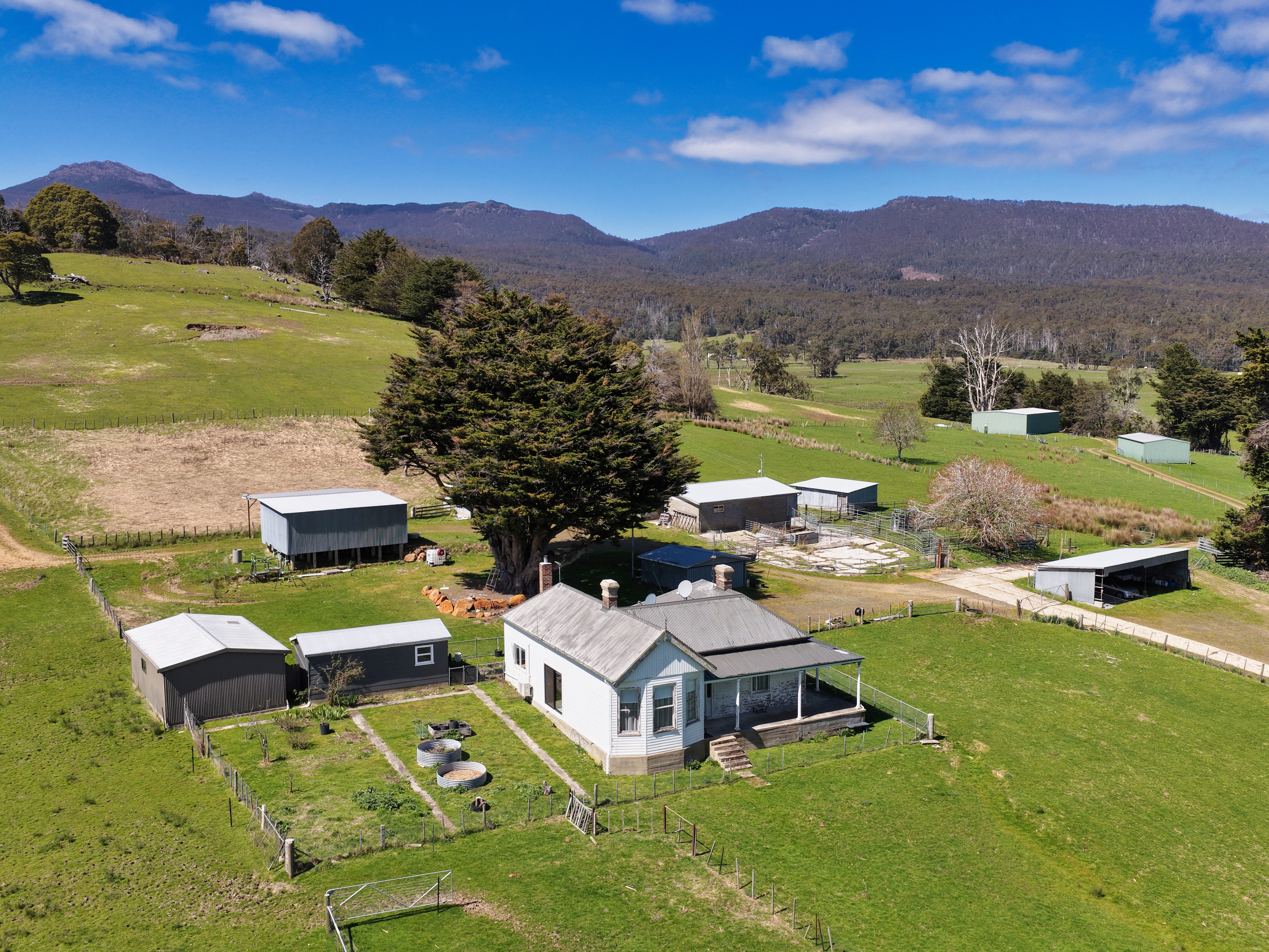 38791 Tasman Highway, Nunamara, TAS, 7259 - Image 13