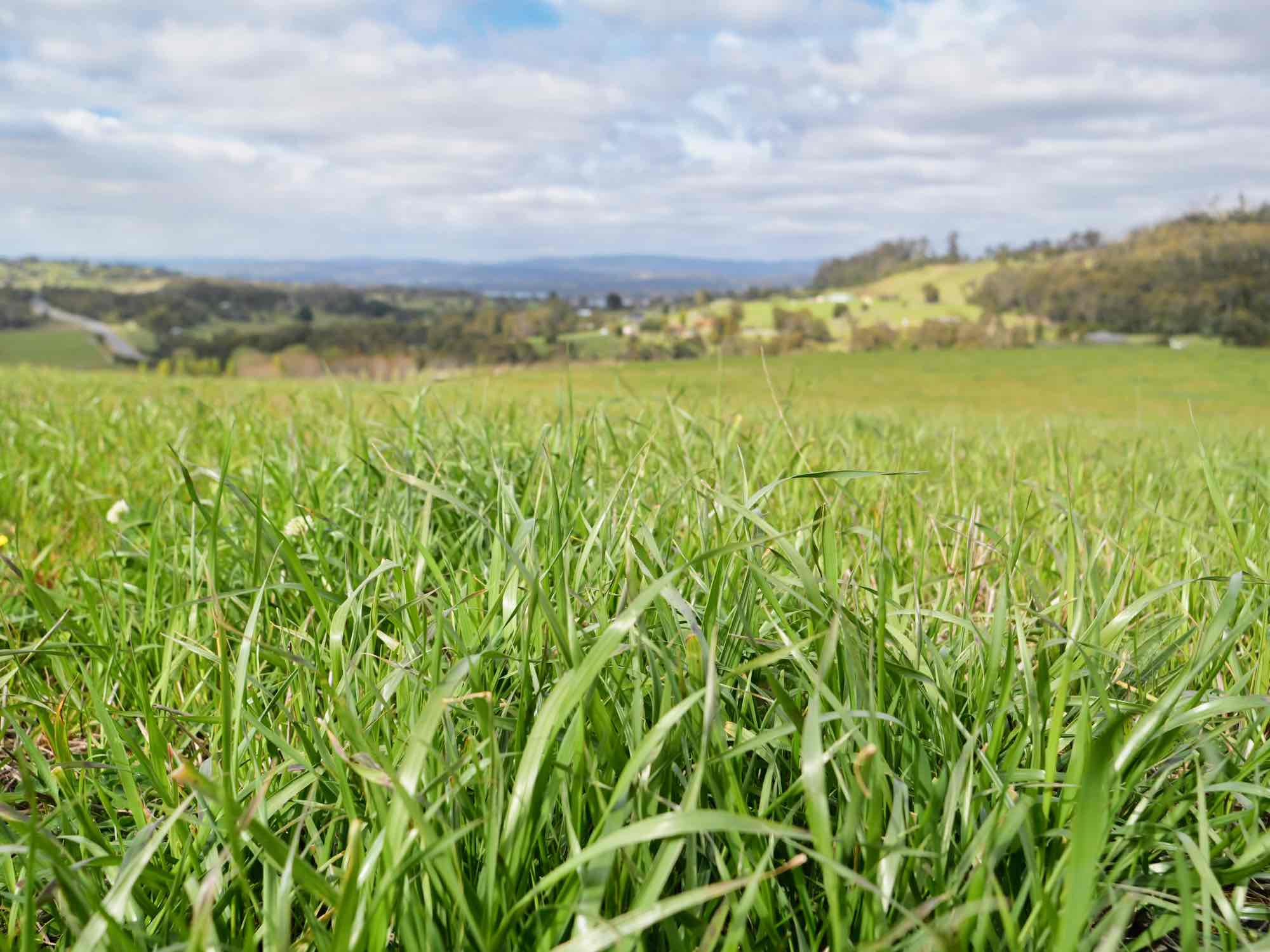 44 East Arm Road, Hillwood, TAS, 7252 - Image 12