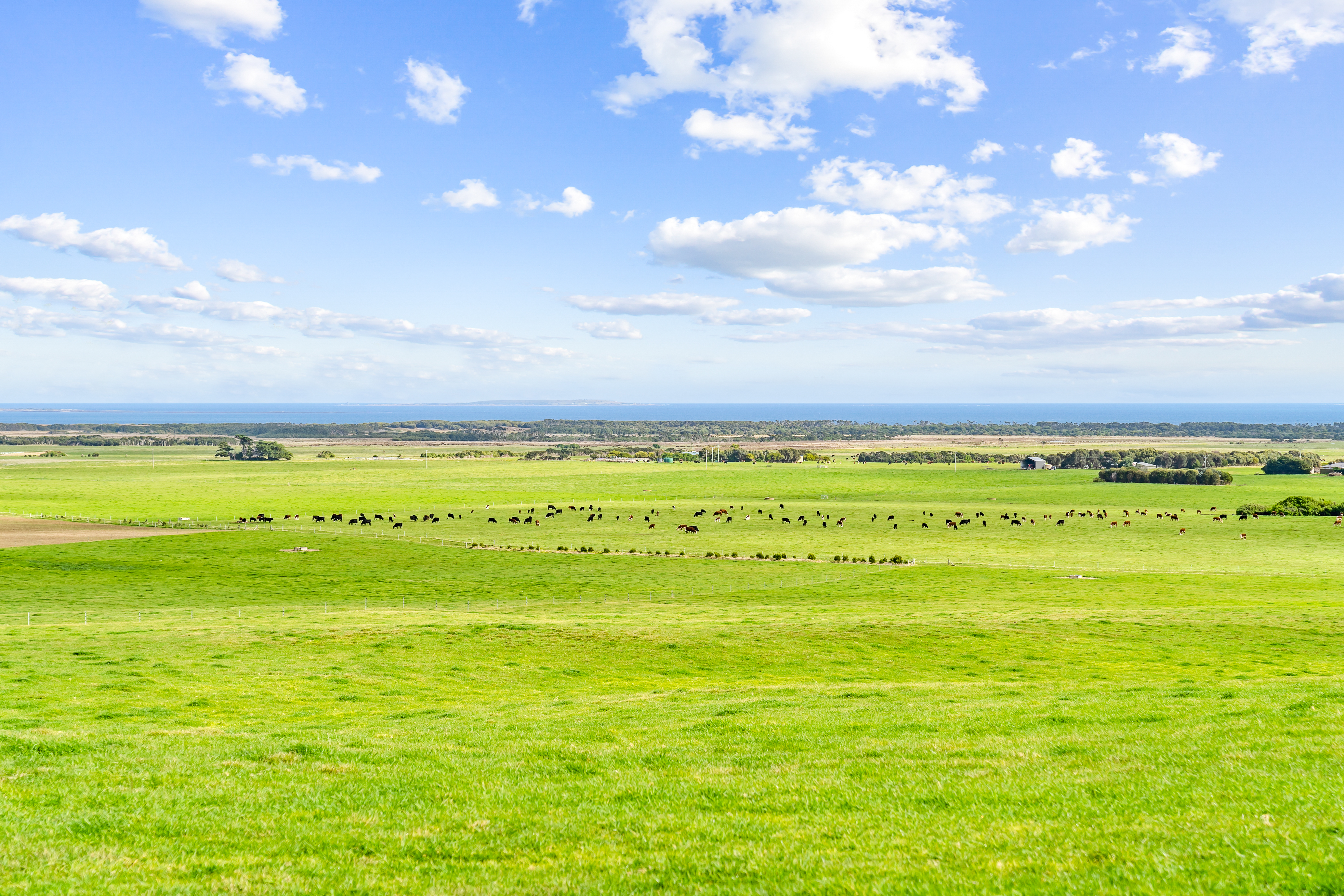 392 Lady Barron Road, Ranga, TAS, 7255 - Image 1