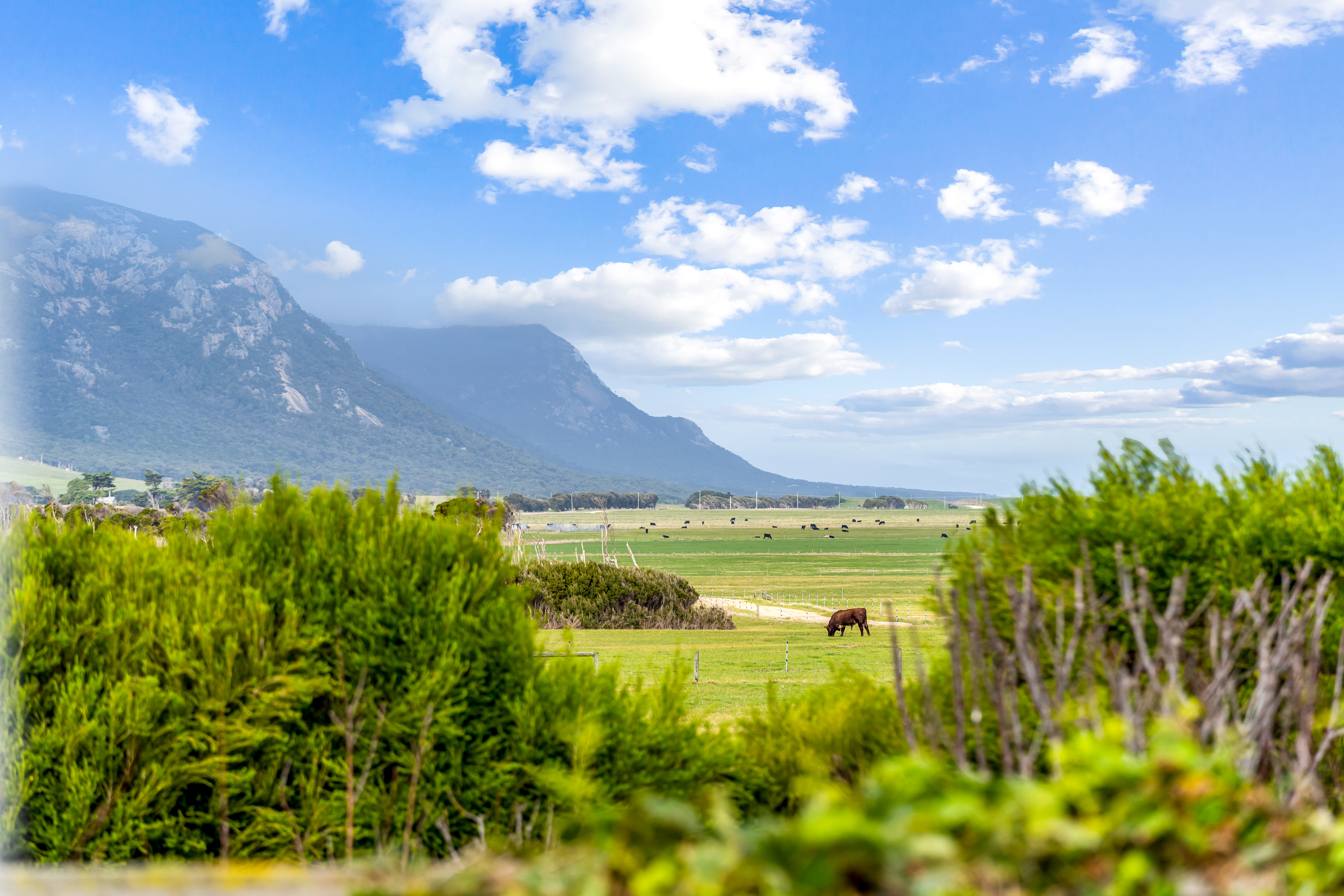 392 Lady Barron Road, Ranga, TAS, 7255 - Image 3