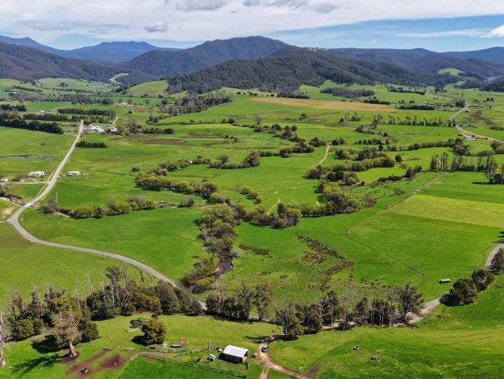 163 St Columba Falls Road, Pyengana, TAS, 7216 - Image 2