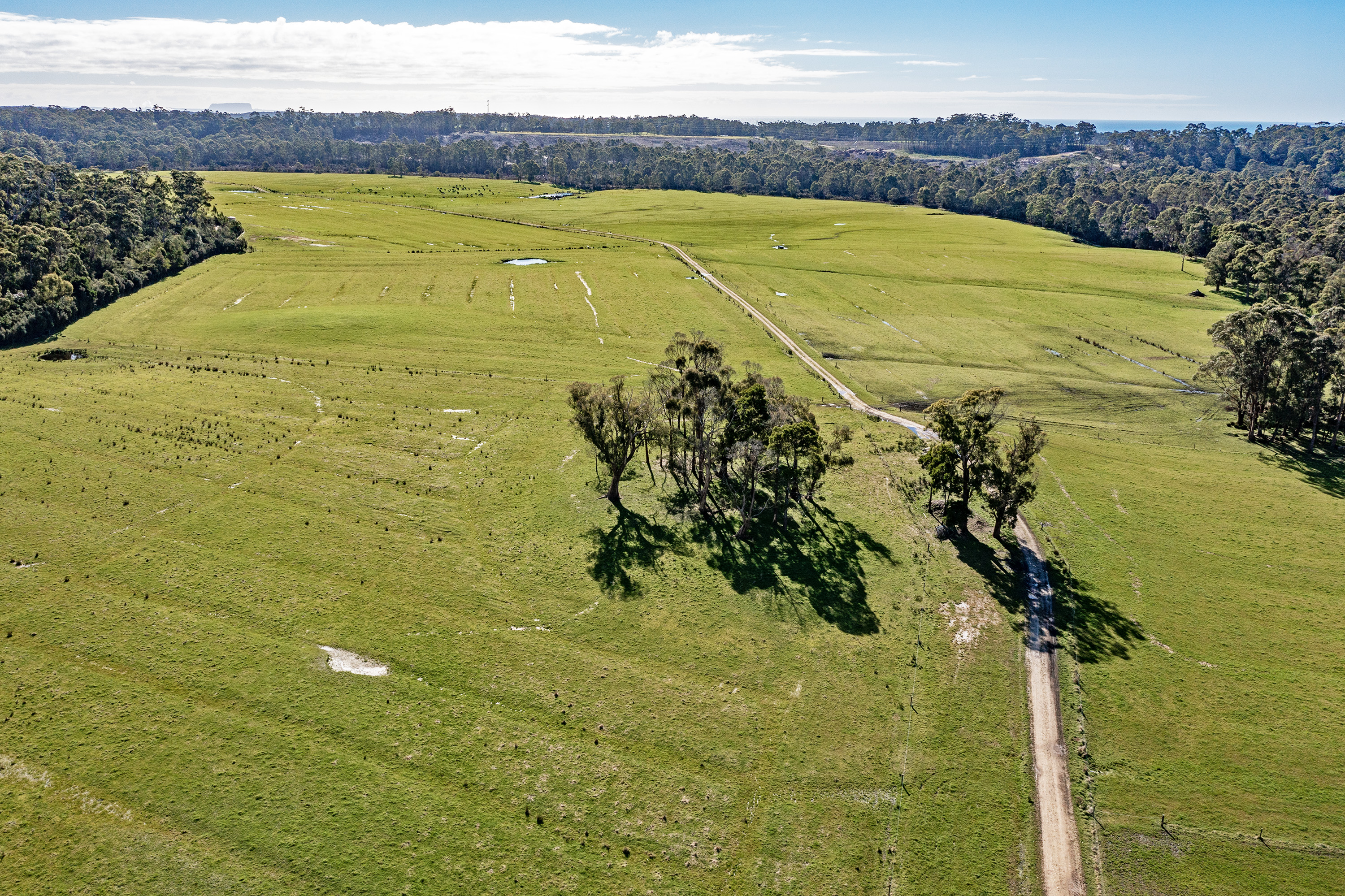 300 Coopers Road, Rocky Cape, TAS, 7321 - Image 5