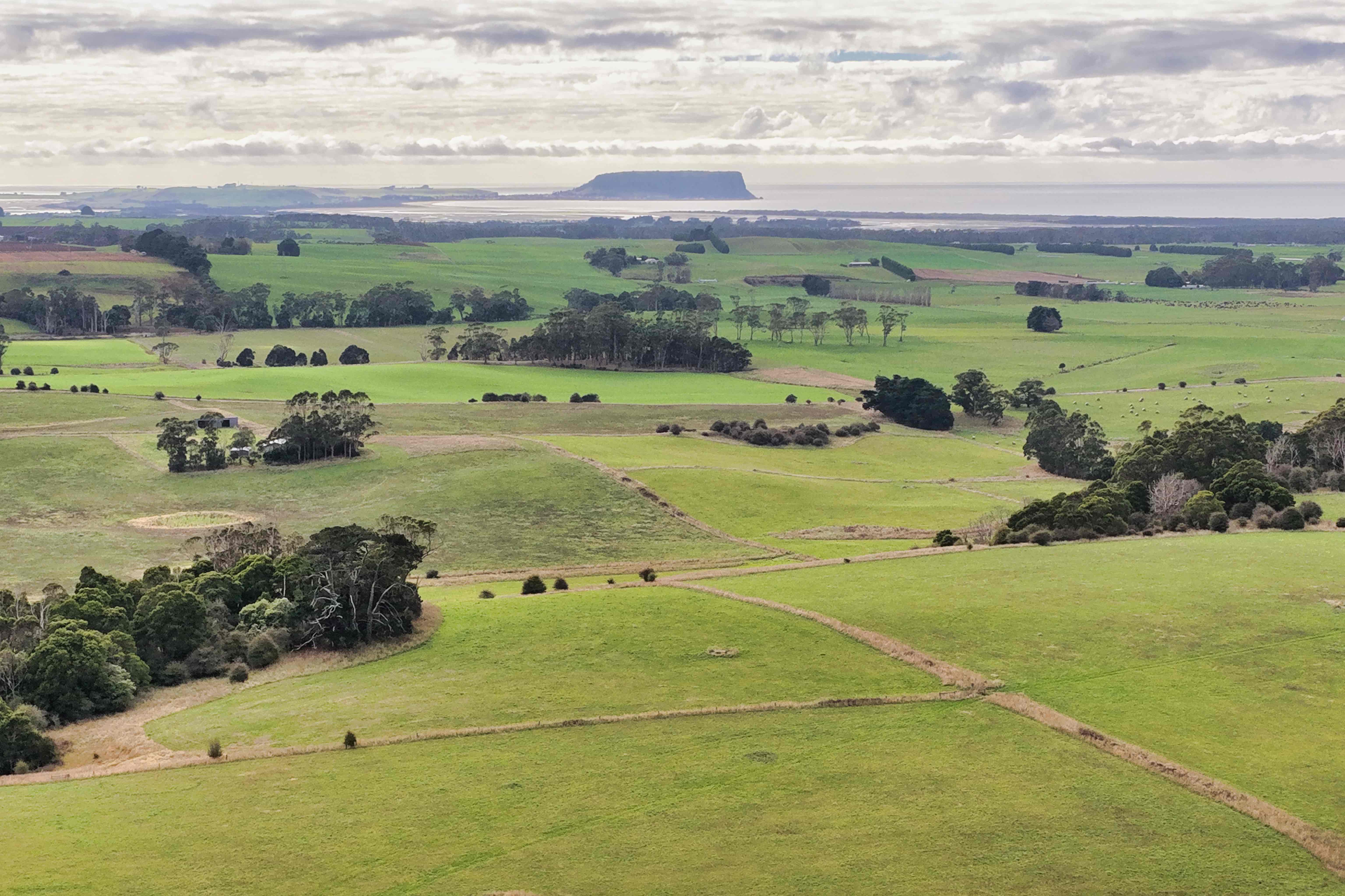 699 Mengha Road, Forest, TAS, 7330 - Image 3