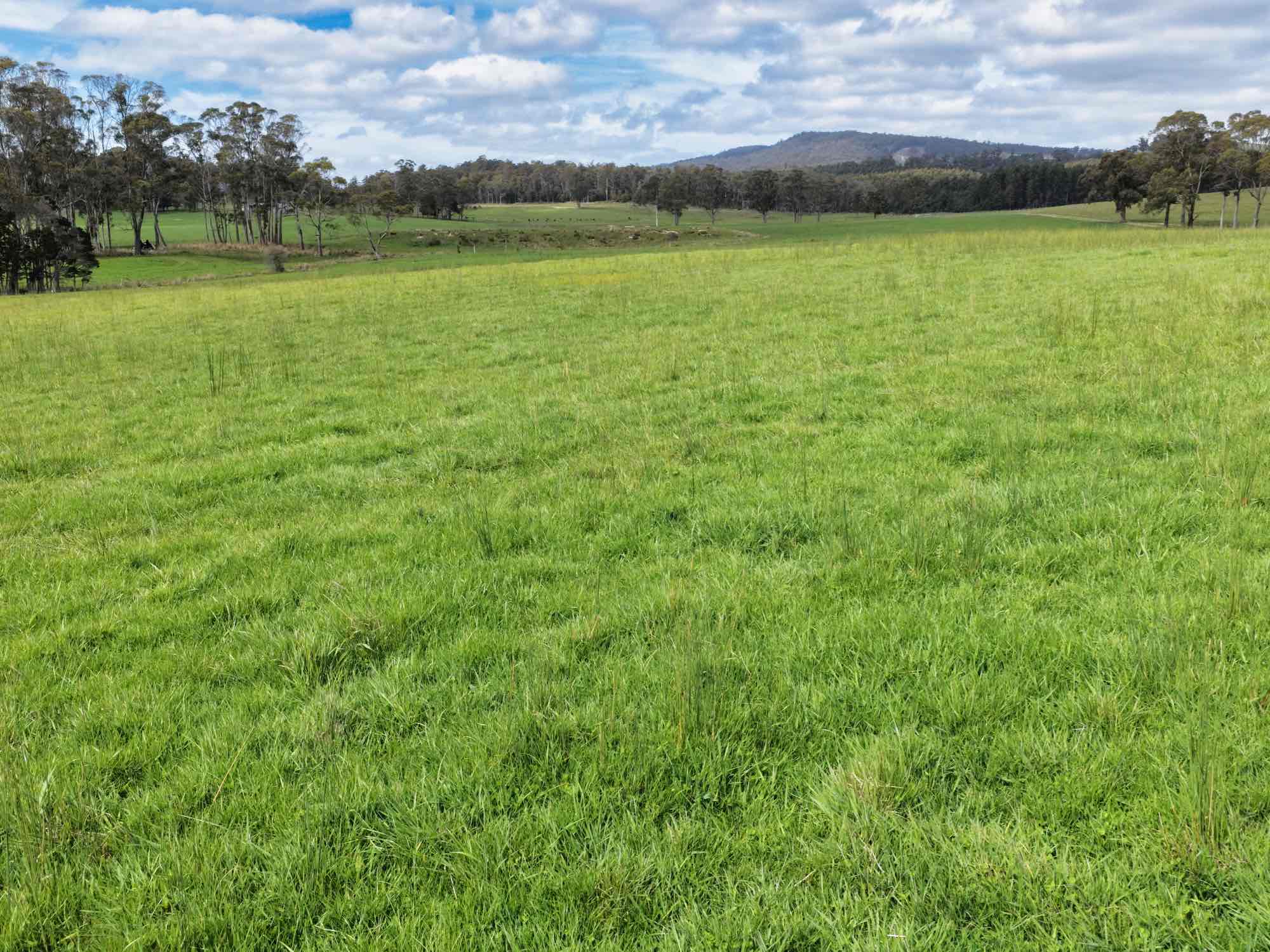 29 Glengarry Road, Glengarry, TAS, 7275 - Image 4