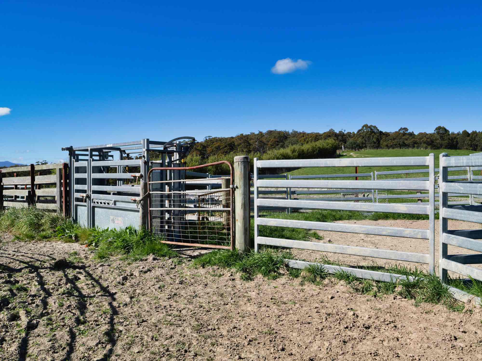 2241 Pipers River Road, Pipers River, TAS, 7252 - Image 5