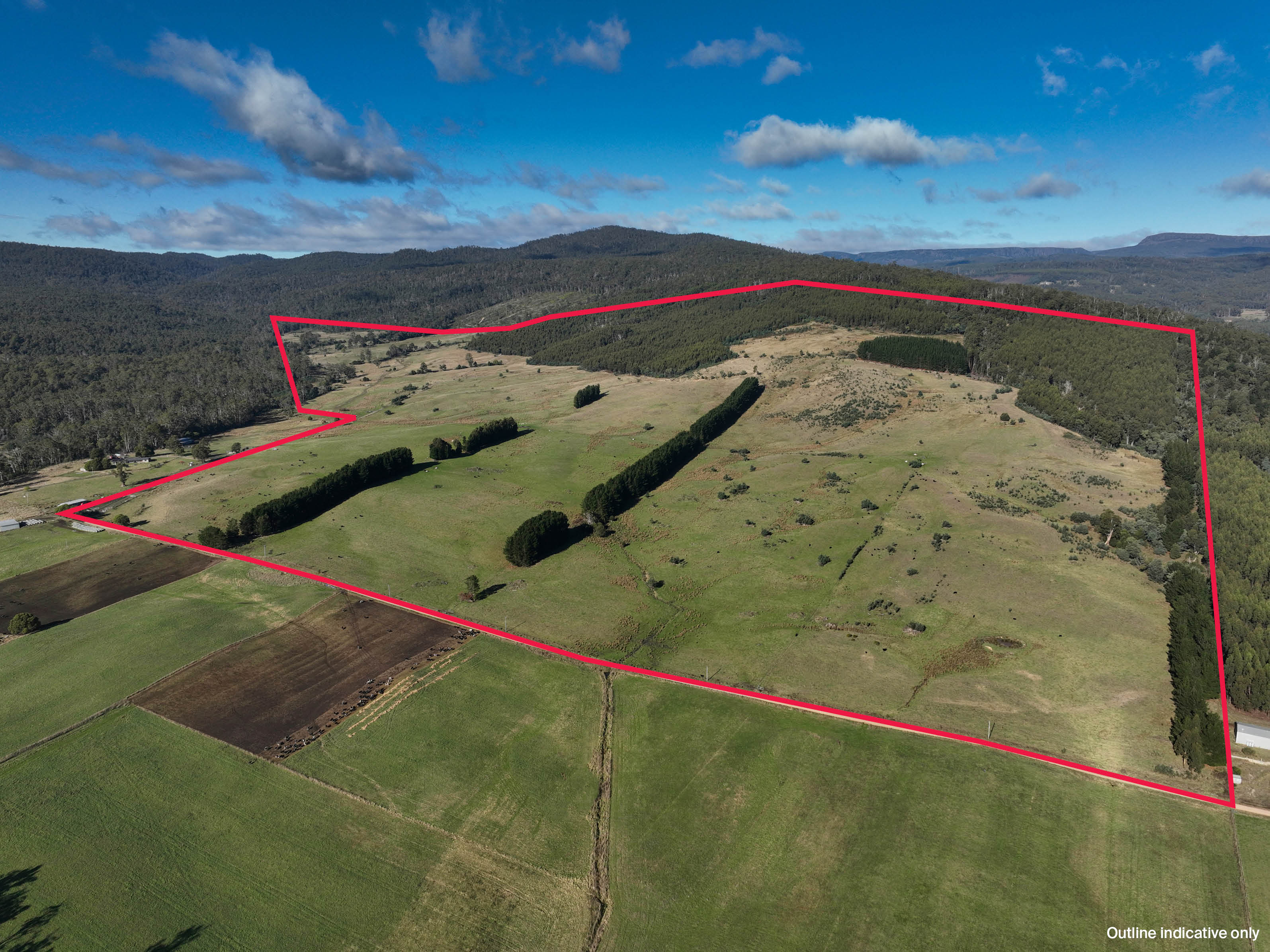 1 Wandilla Road, Quamby Brook, TAS, 7304 - Image 1