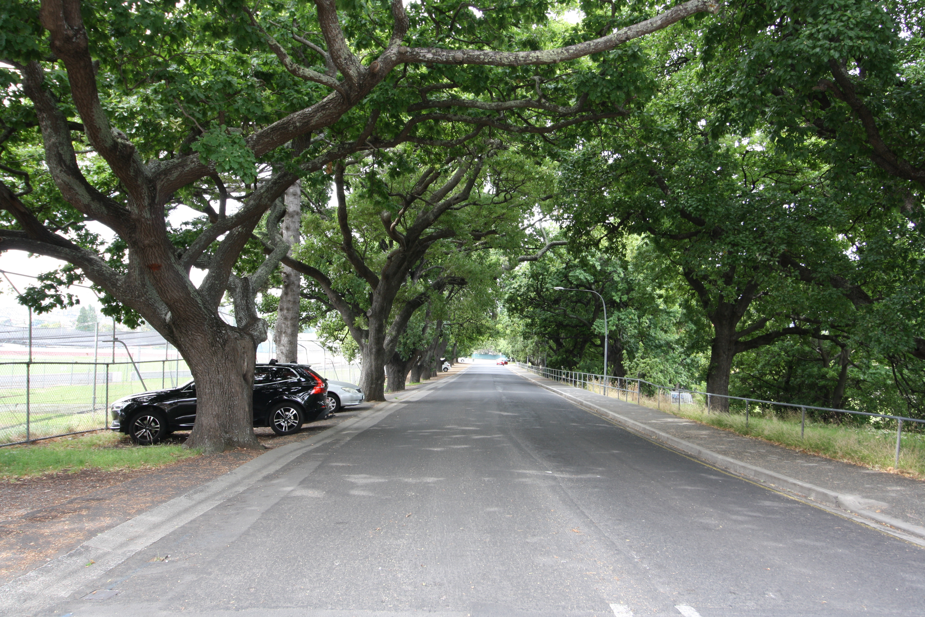 Ground/9 St Johns Avenue, New Town, TAS, 7008 - Image 11