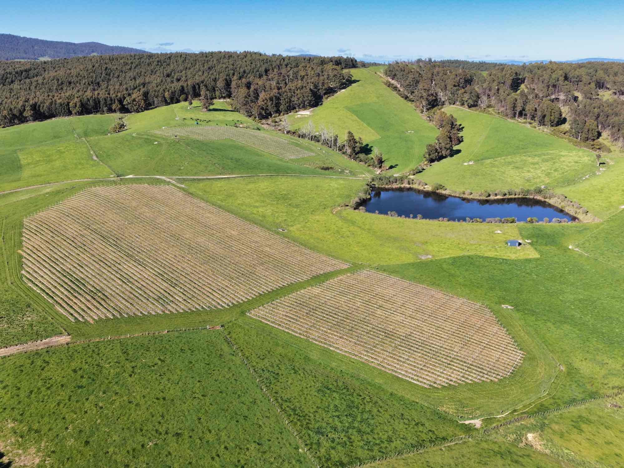 2241 Pipers River Road, Pipers River, TAS, 7252 - Image 8