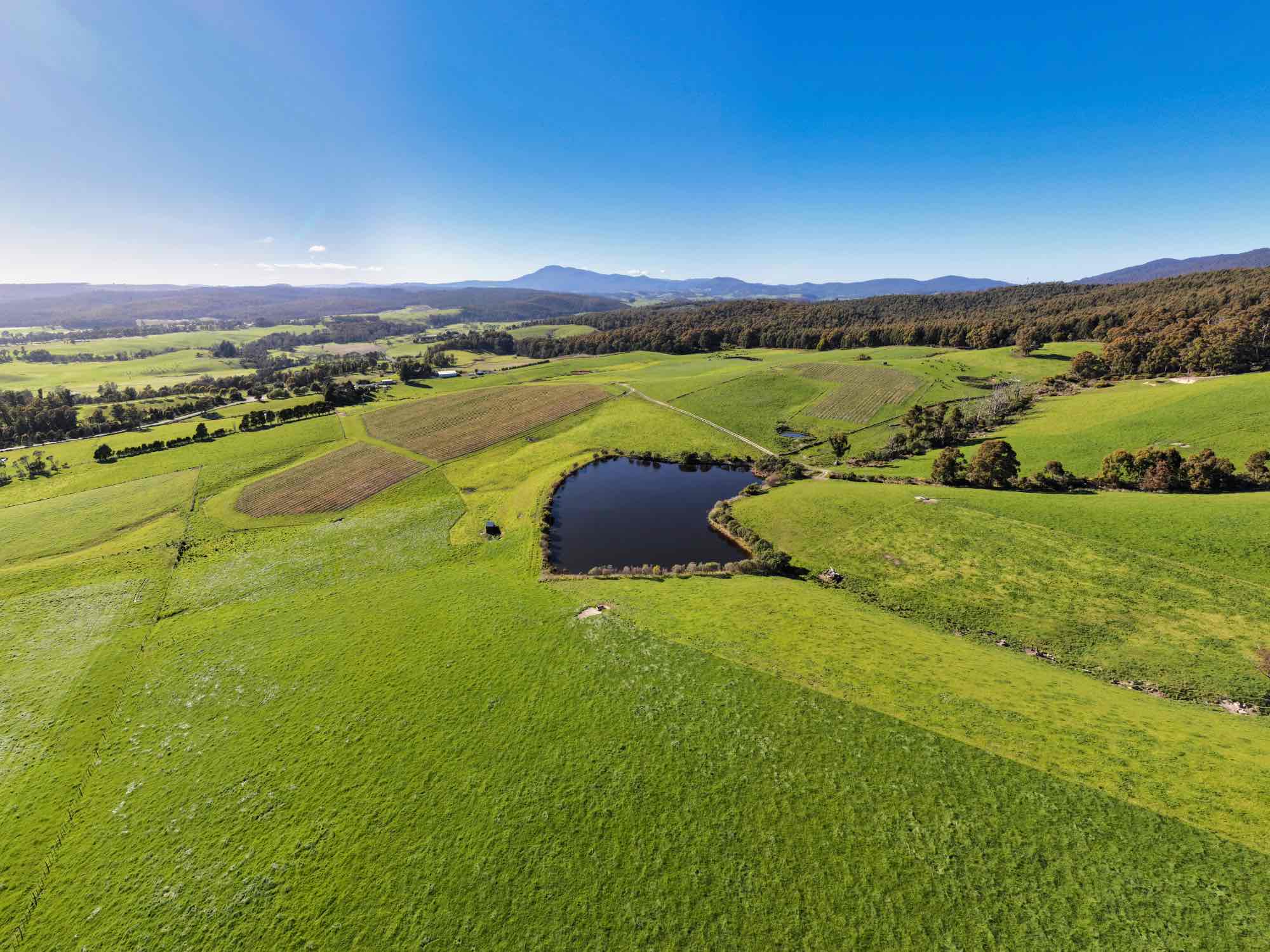 2241 Pipers River Road, Pipers River, TAS, 7252 - Image 7