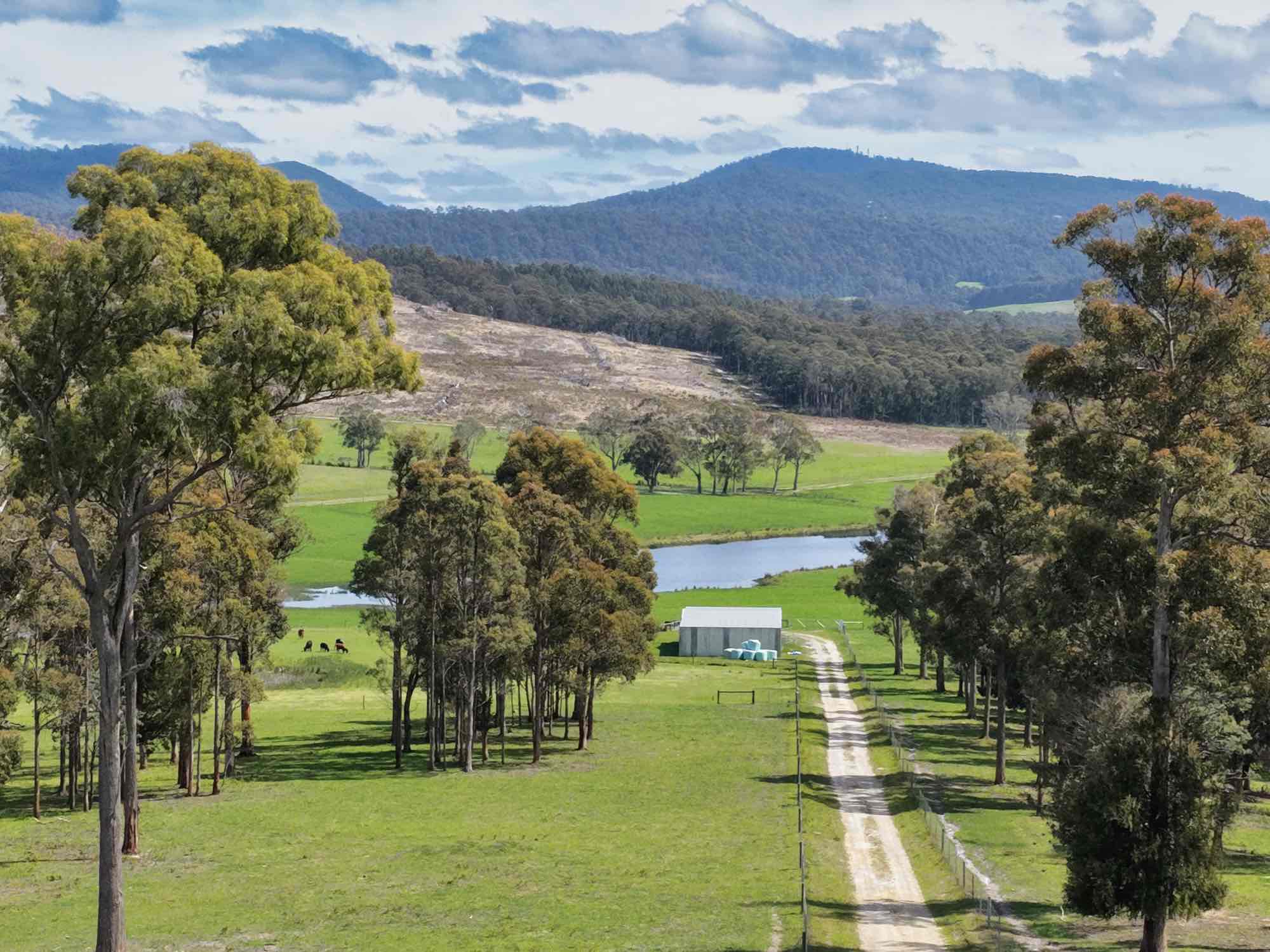 29 Glengarry Road, Glengarry, TAS, 7275 - Image 2