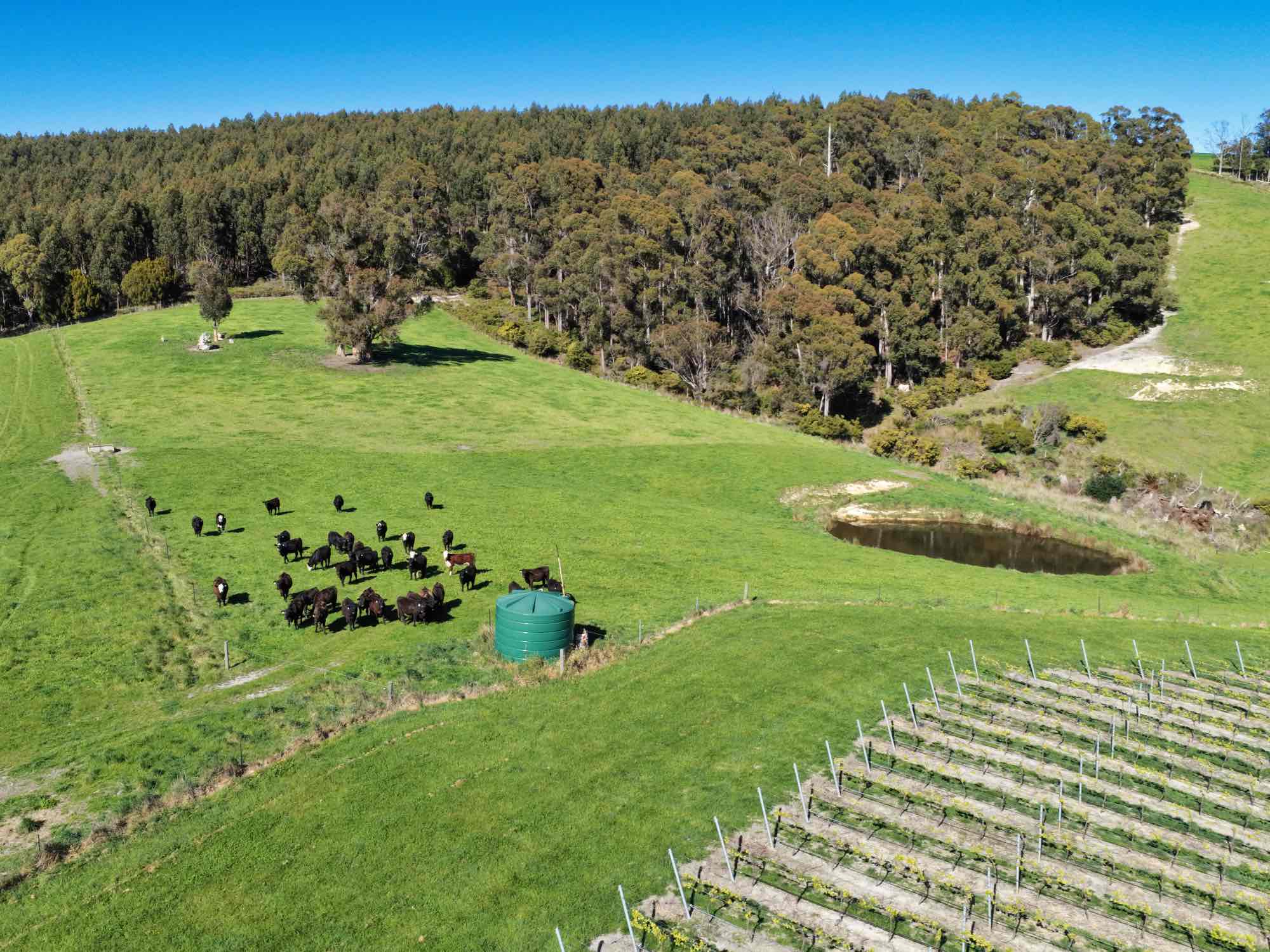 2241 Pipers River Road, Pipers River, TAS, 7252 - Image 9