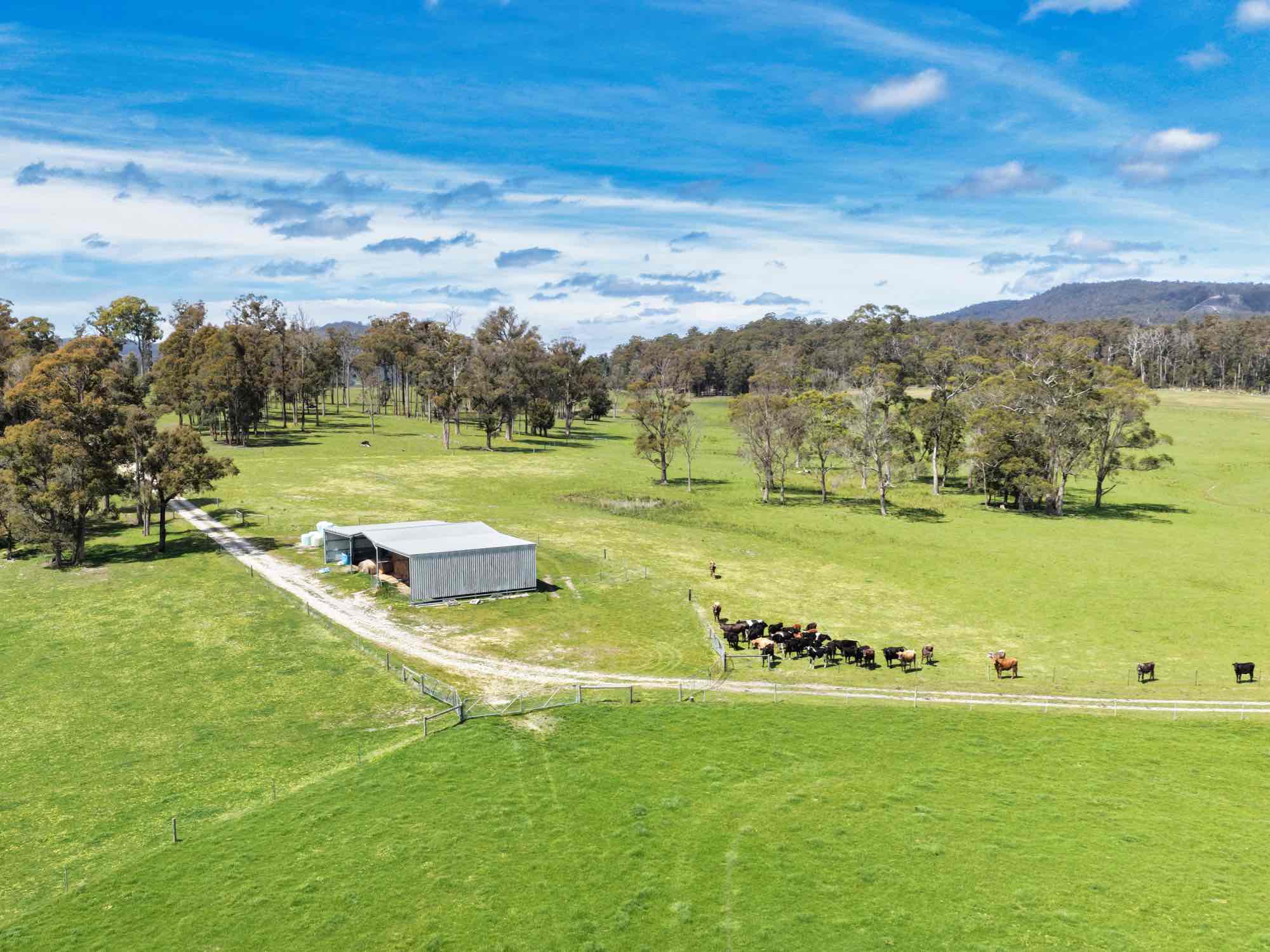 29 Glengarry Road, Glengarry, TAS, 7275 - Image 3