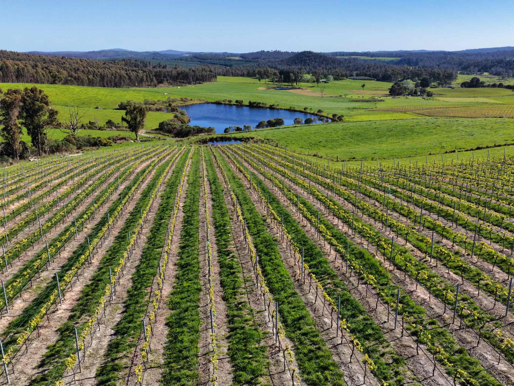 2241 Pipers River Road, Pipers River, TAS, 7252 - Image 3