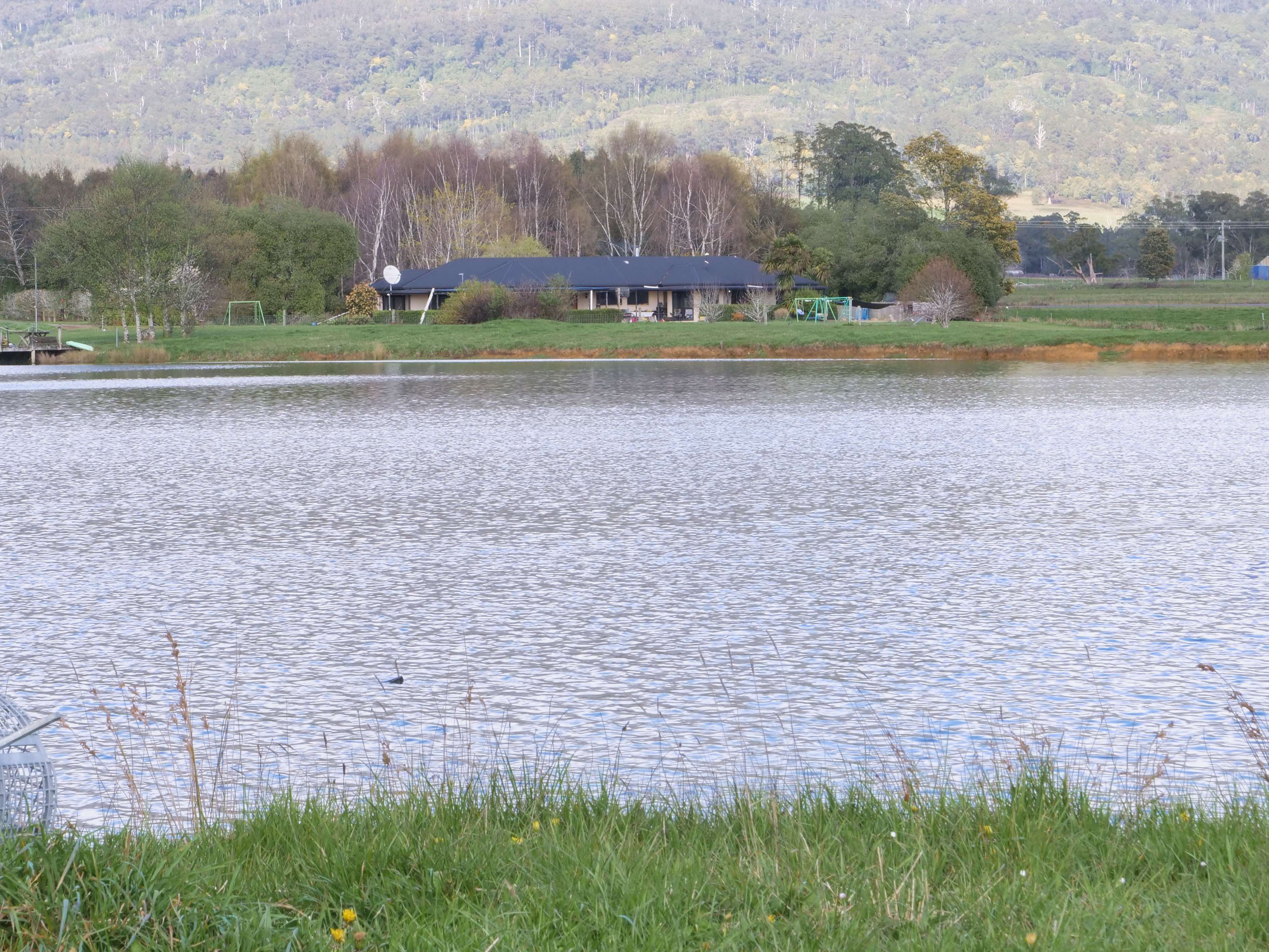 1037 & 1044 Dairy Plains Road, Western Creek, TAS, 7304 - Image 10