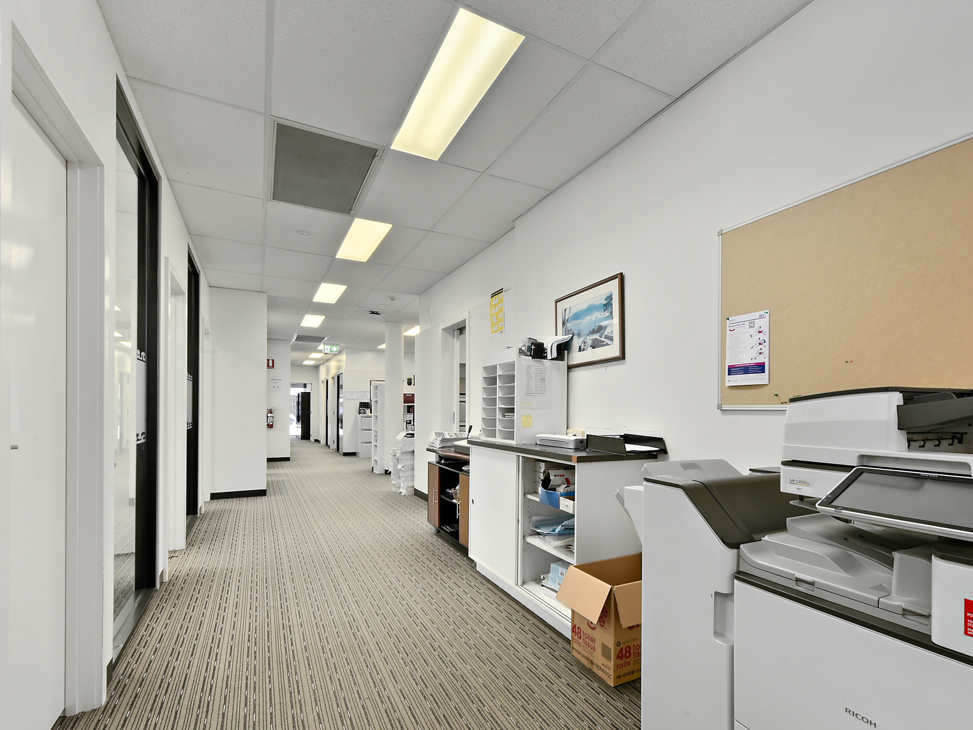 Whole building/117 Cimitiere Street, Launceston, TAS, 7250 - Image 10