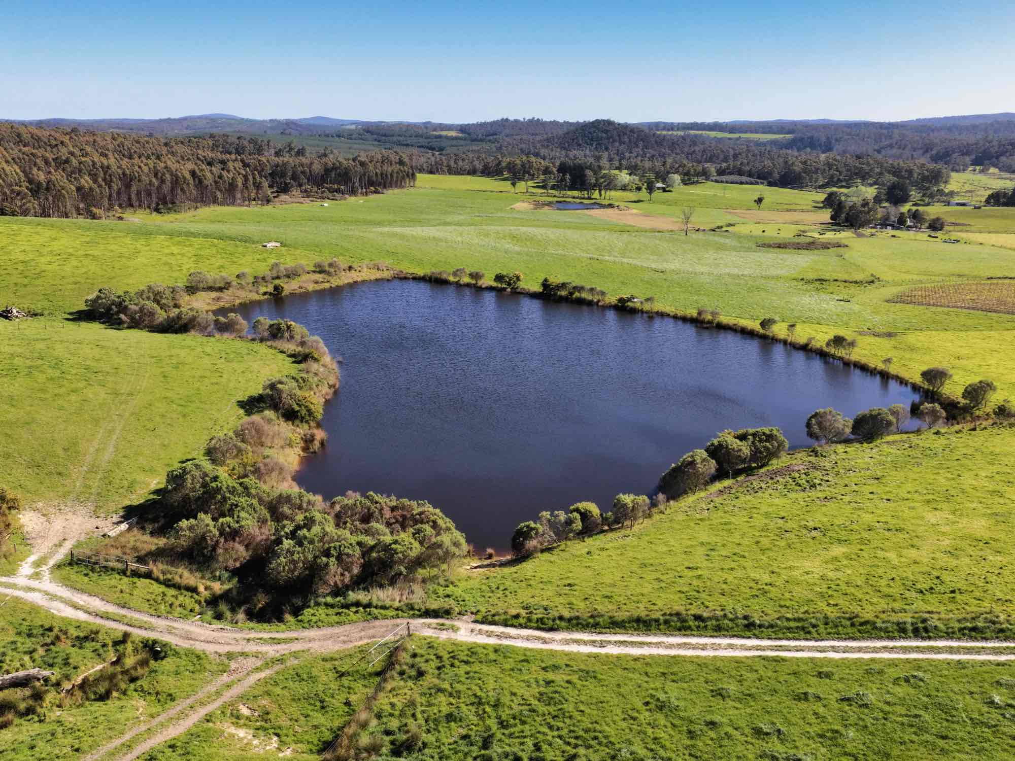 2241 Pipers River Road, Pipers River, TAS, 7252 - Image 11