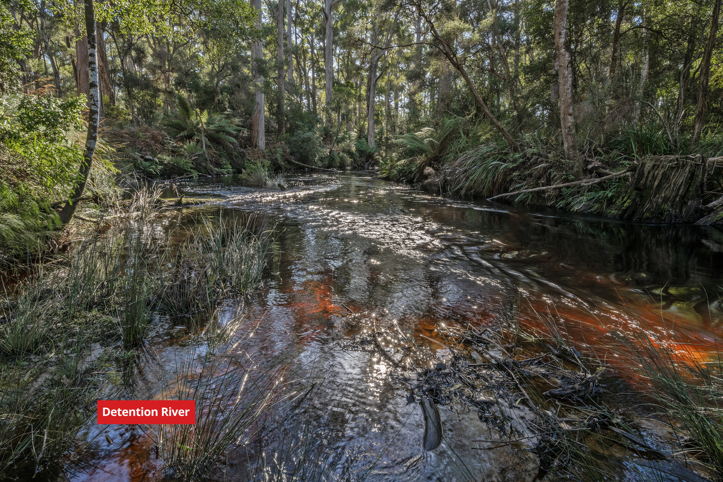 300 Coopers Road, Rocky Cape, TAS, 7321 - Image 4
