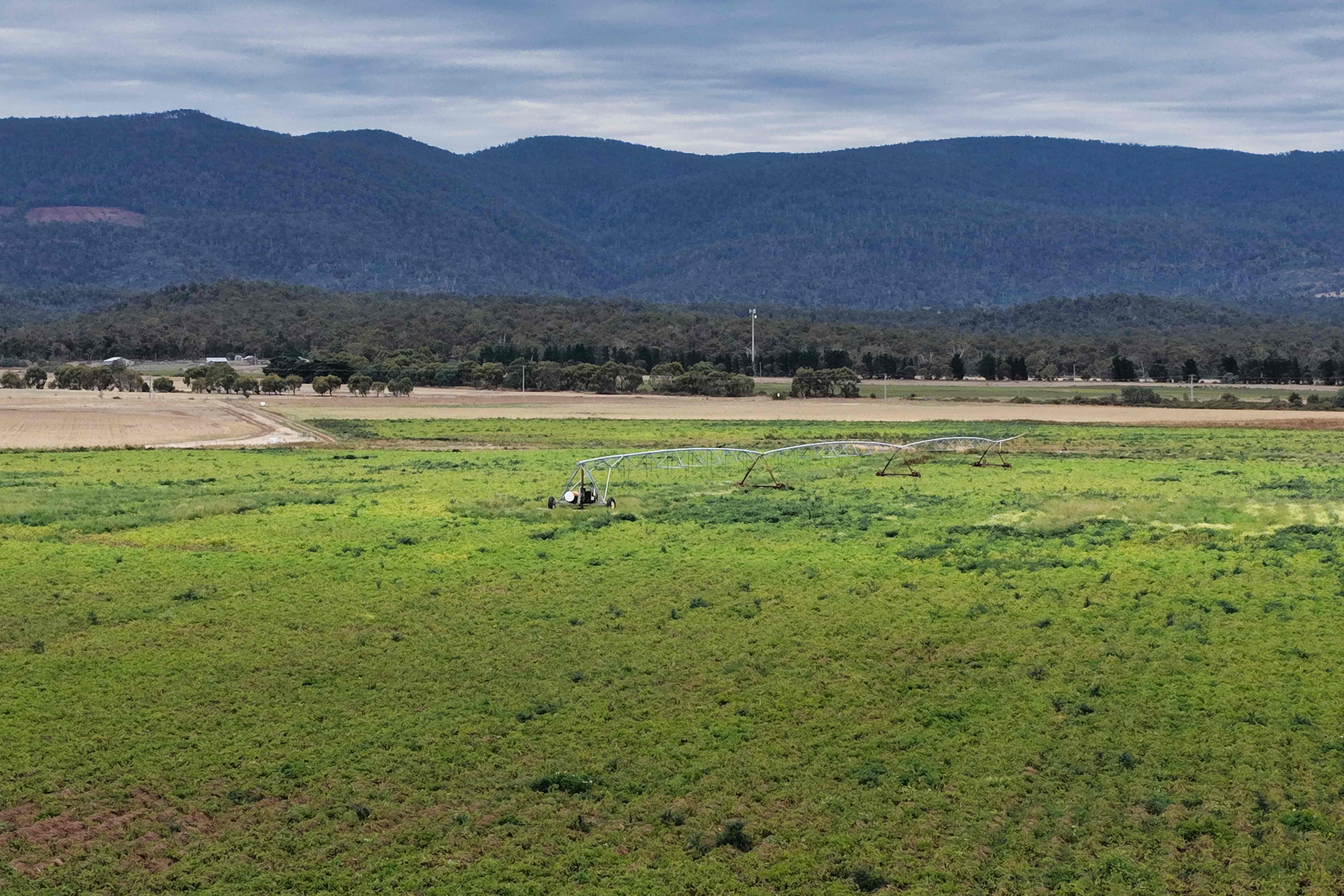 1498 Royal George Road, Royal George, TAS, 7213 - Image 2