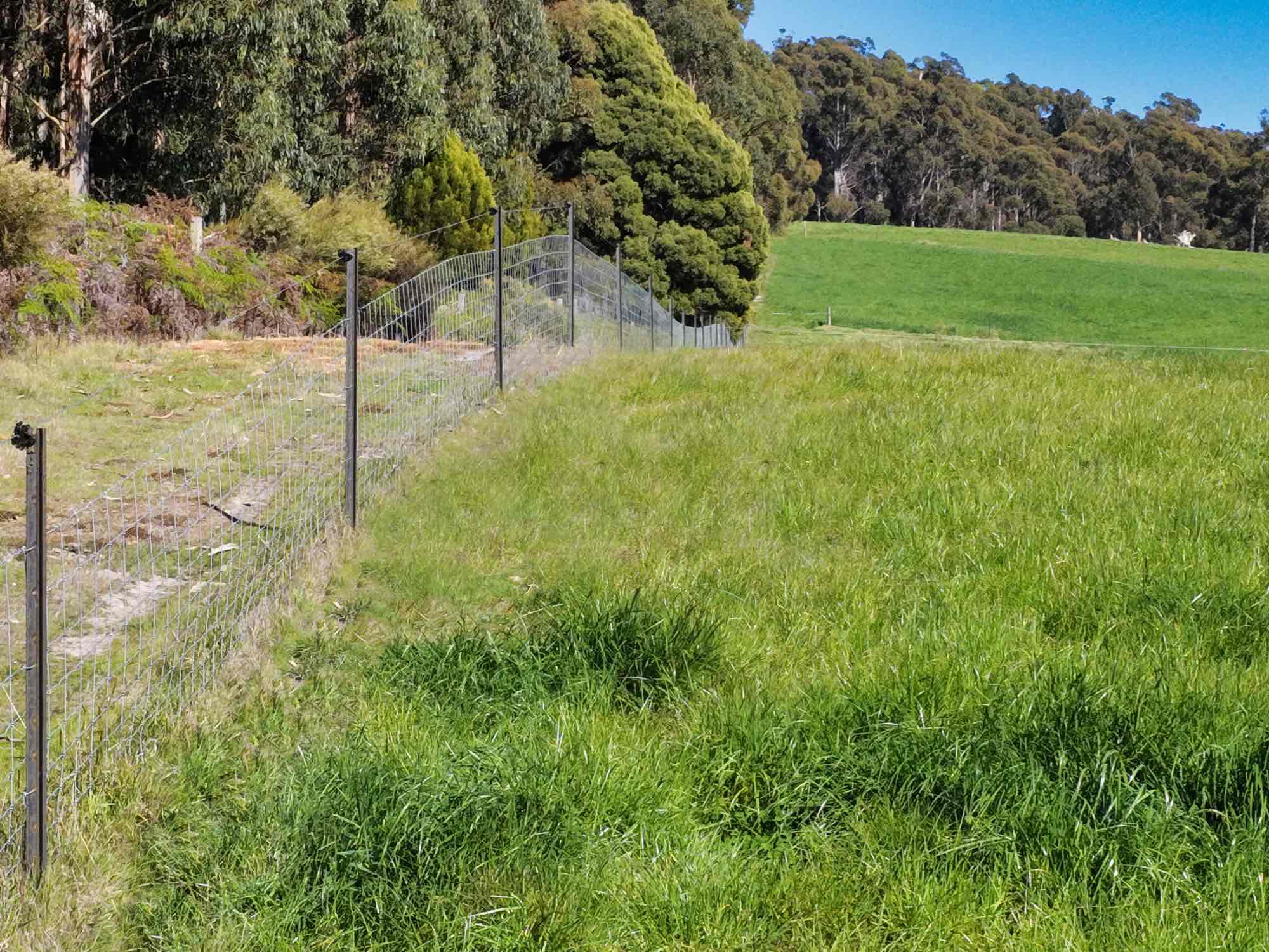 2241 Pipers River Road, Pipers River, TAS, 7252 - Image 13