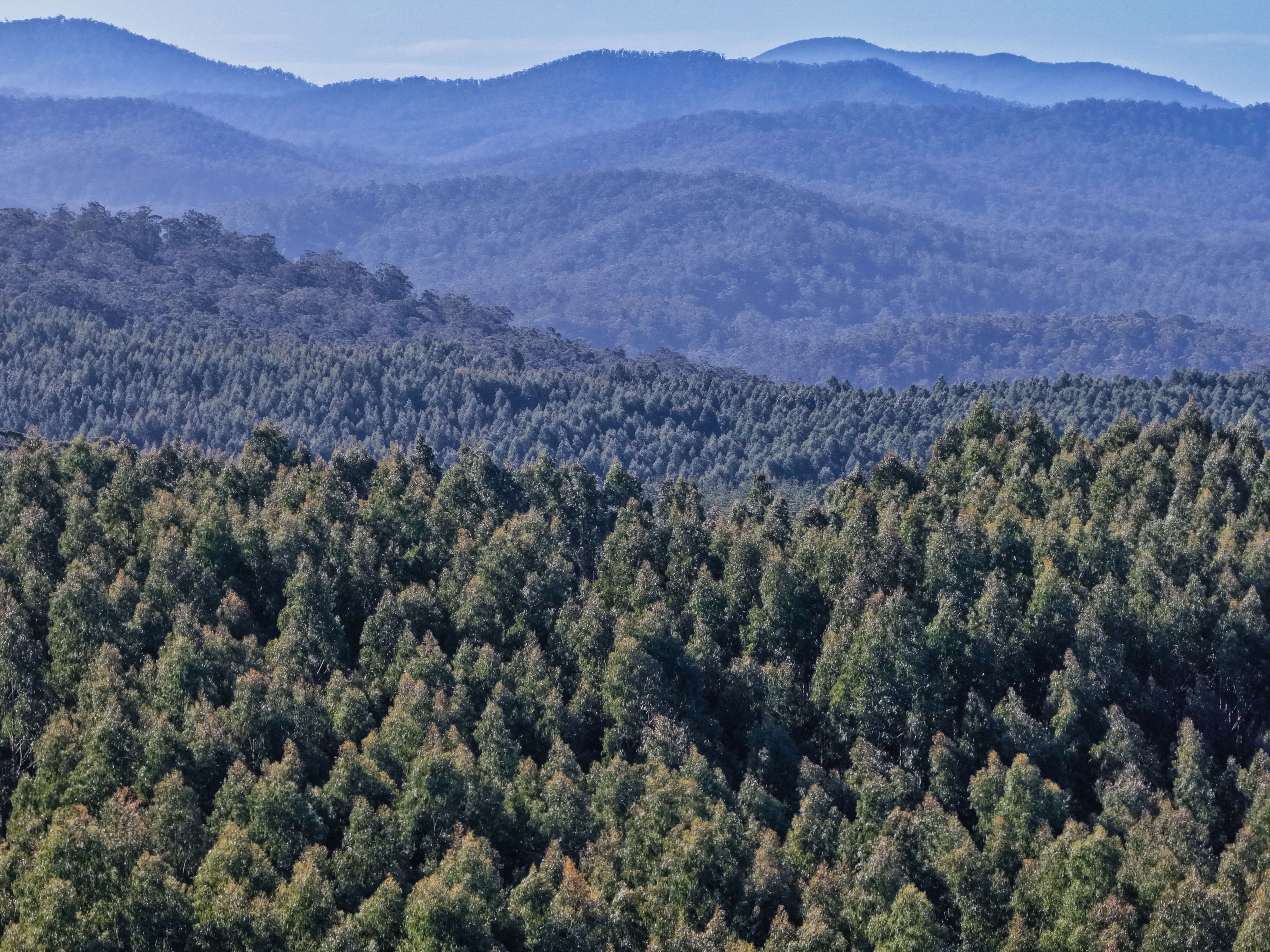 561 Howell Road, Beaconsfield, TAS, 7270 - Image 3