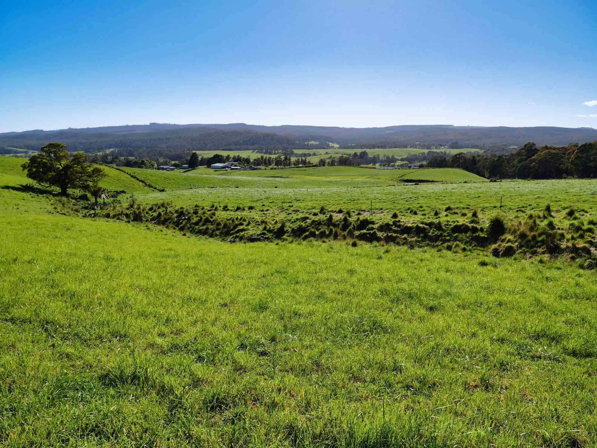 2241 Pipers River Road, Pipers River, TAS, 7252 - Image 14