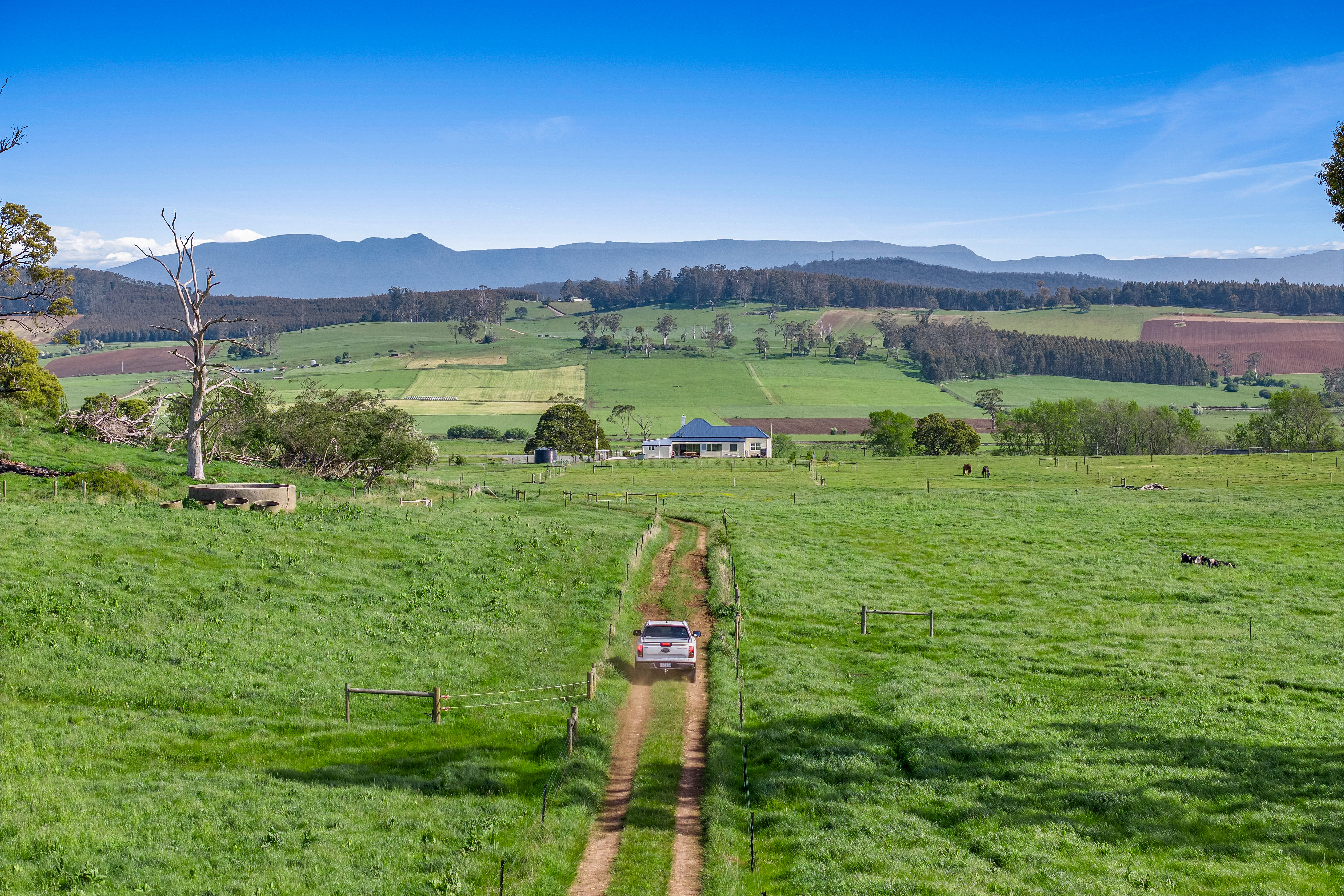 475 Dunorlan Road, Dunorlan, TAS, 7304 - Image 11