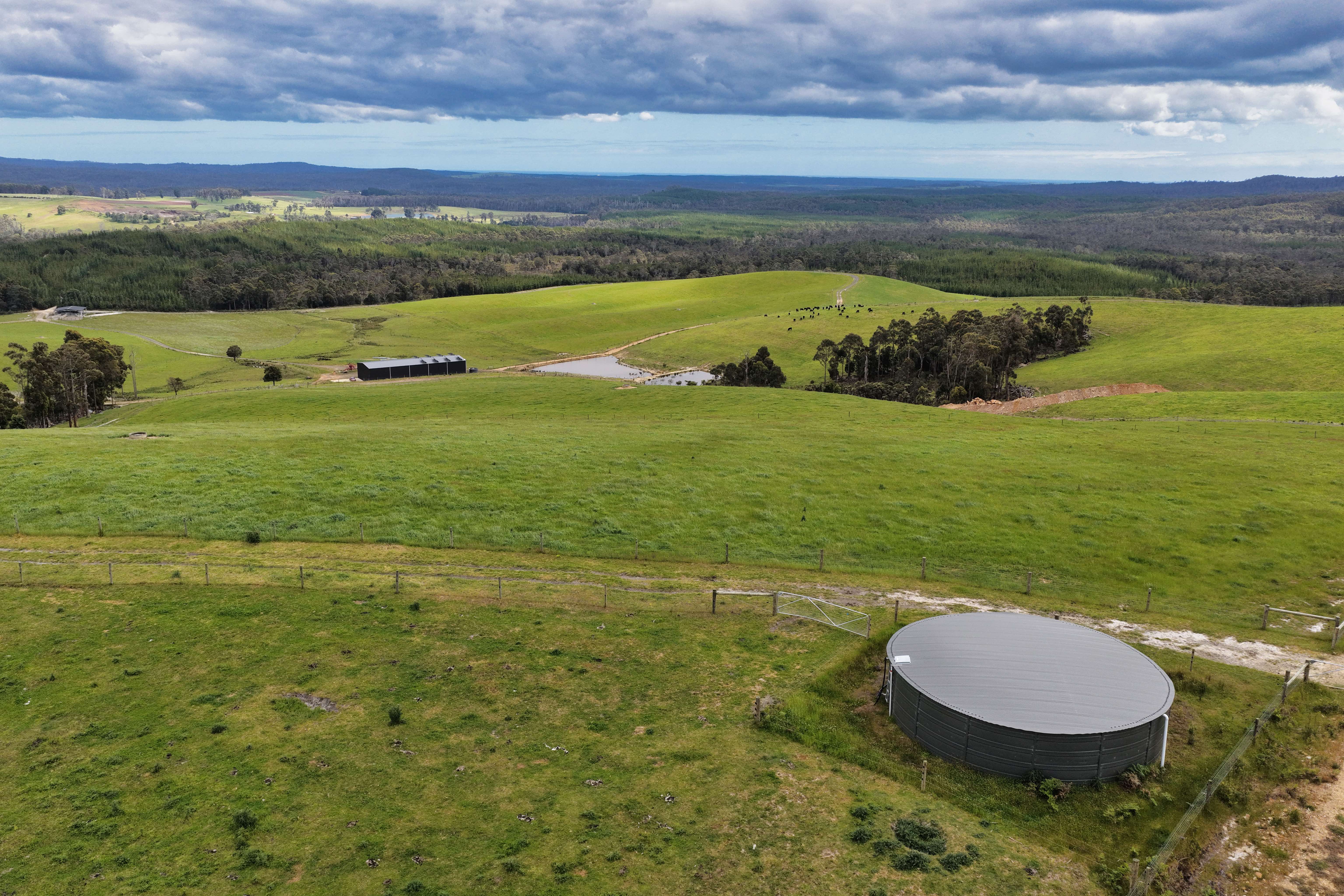 62 Bridport Back Road, Nabowla, TAS, 7260 - Image 7