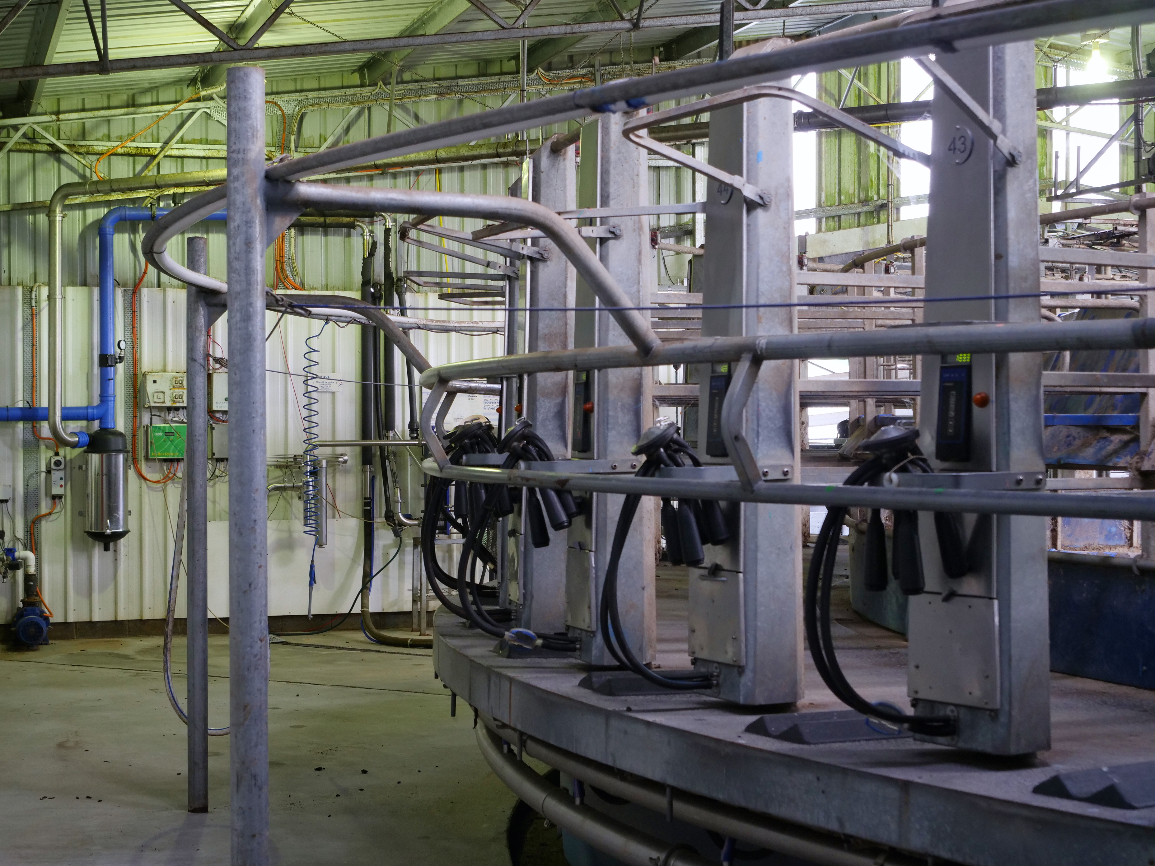 145 Fernleigh Road, Caveside, TAS, 7304 - Image 9