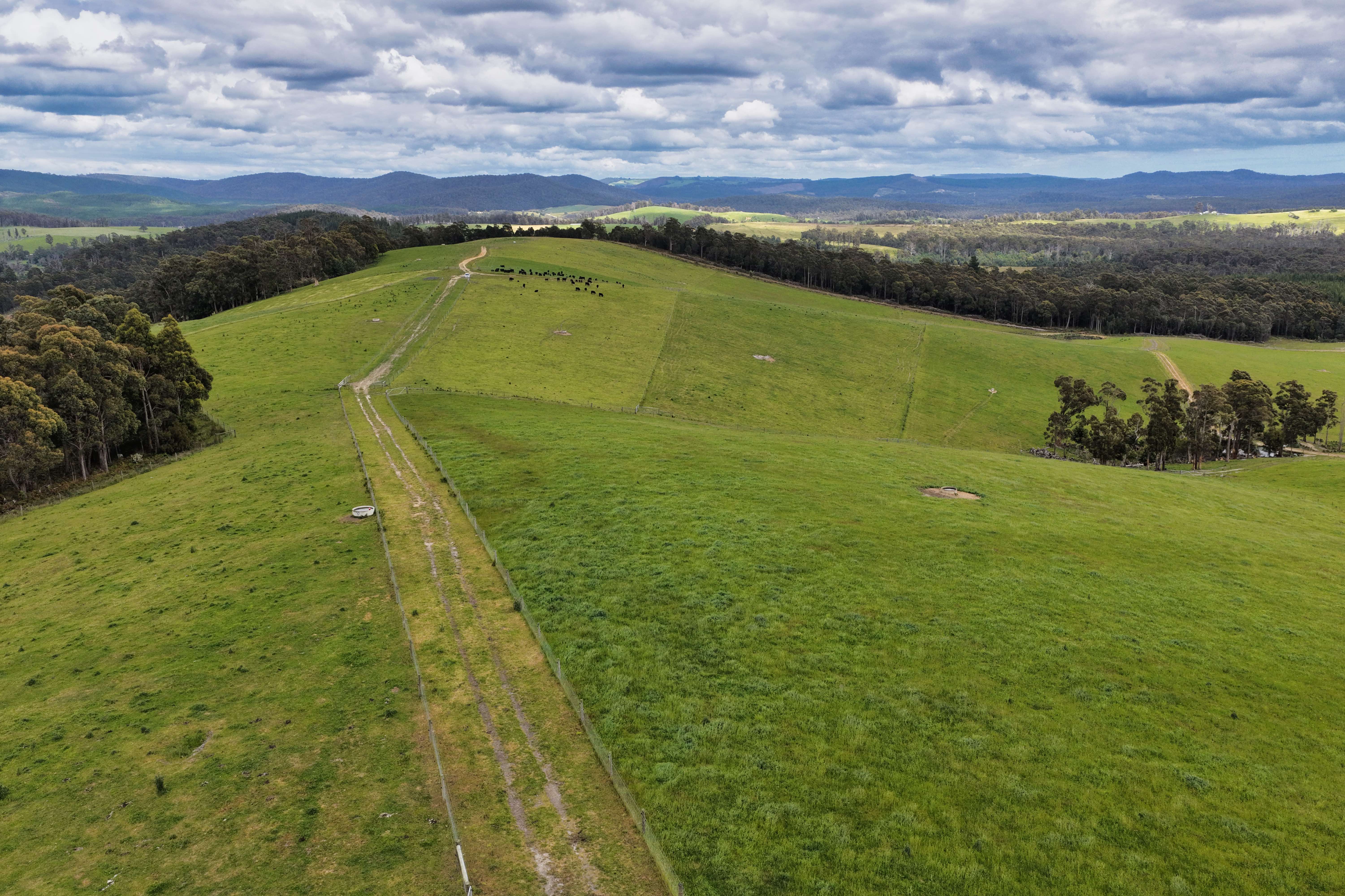 62 Bridport Back Road, Nabowla, TAS, 7260 - Image 8