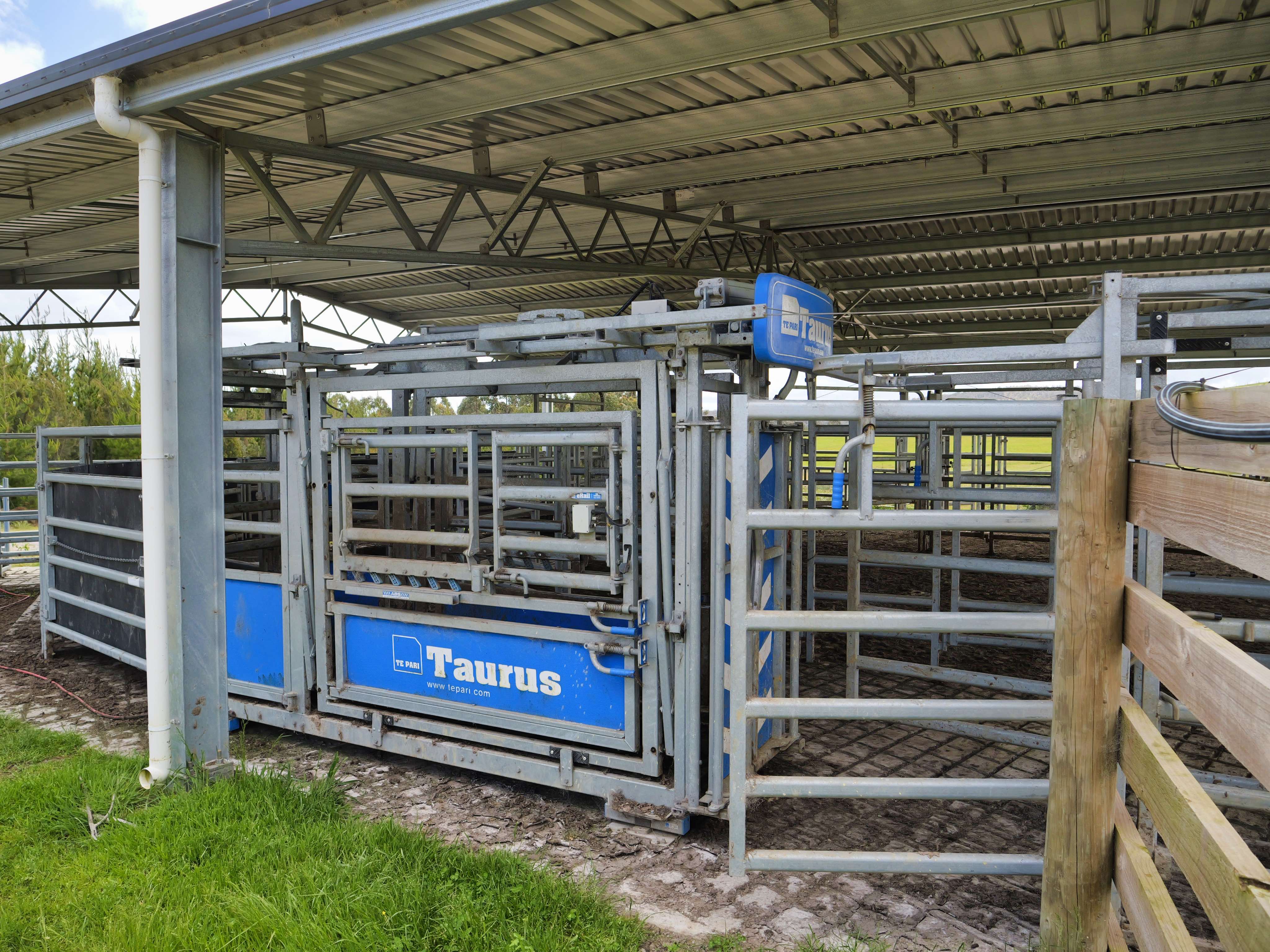 62 Bridport Back Road, Nabowla, TAS, 7260 - Image 14