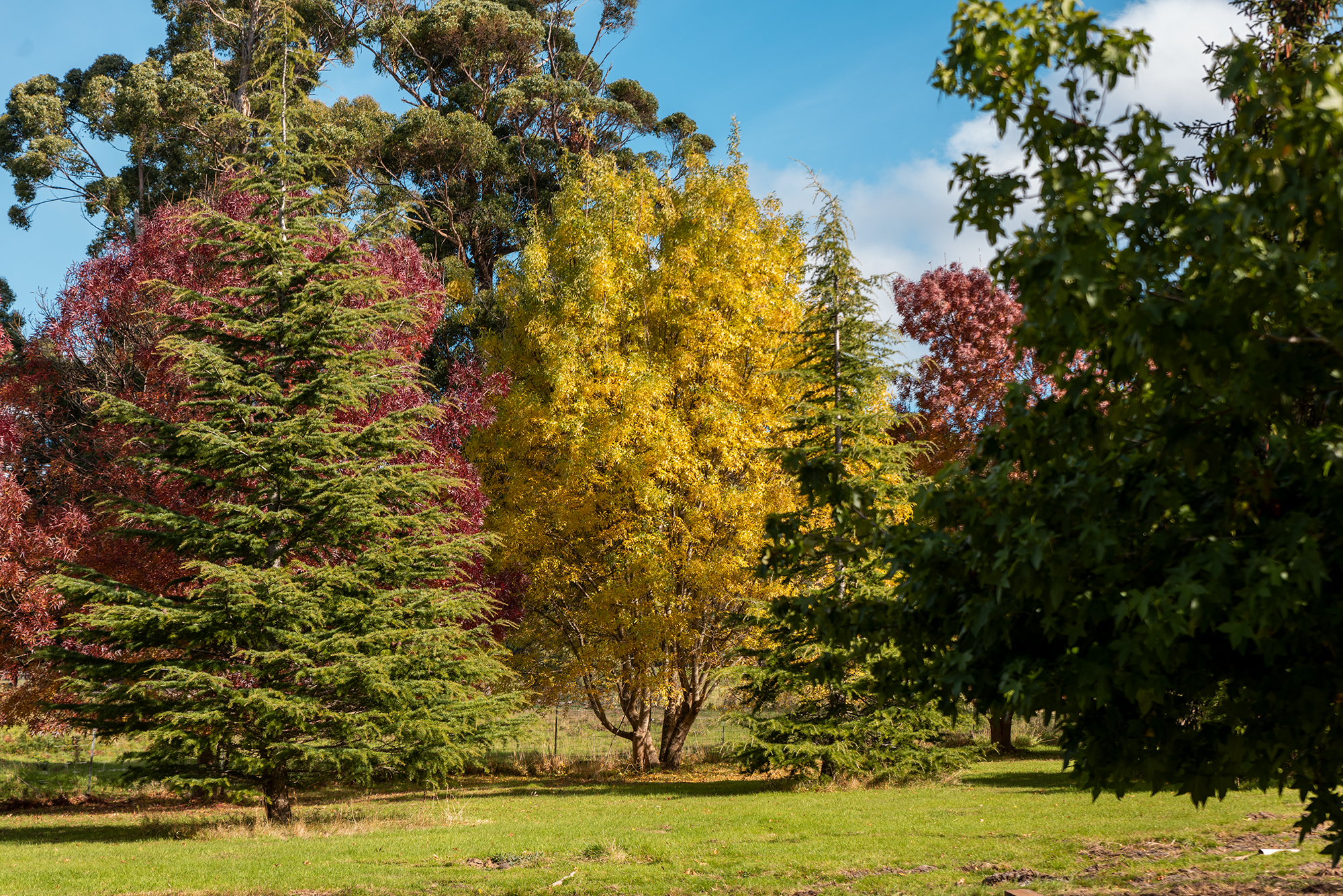 190 Stormlea Road, Nubeena, TAS, 7184 - Image 27