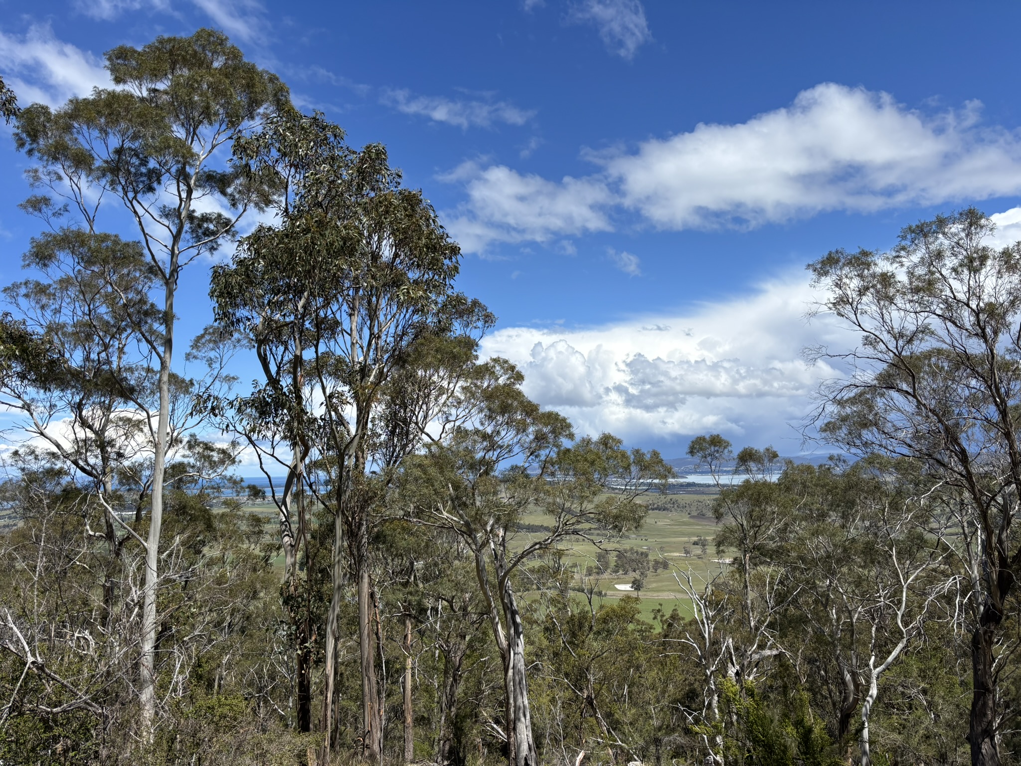 PID 2673110 Leprena Road, Orielton, TAS, 7172 - Image 17