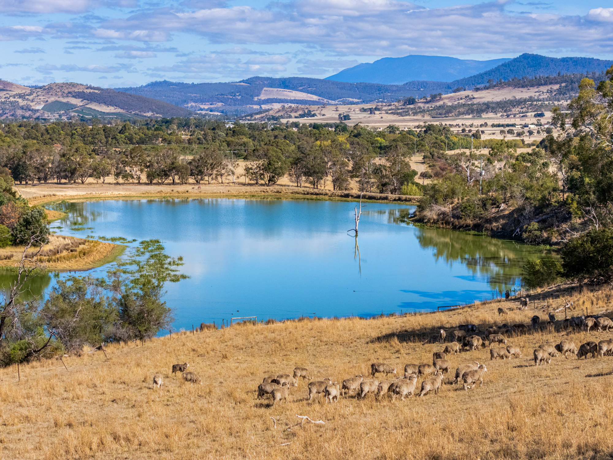 383 Prossers Road, Richmond, TAS, 7025 - Image 4