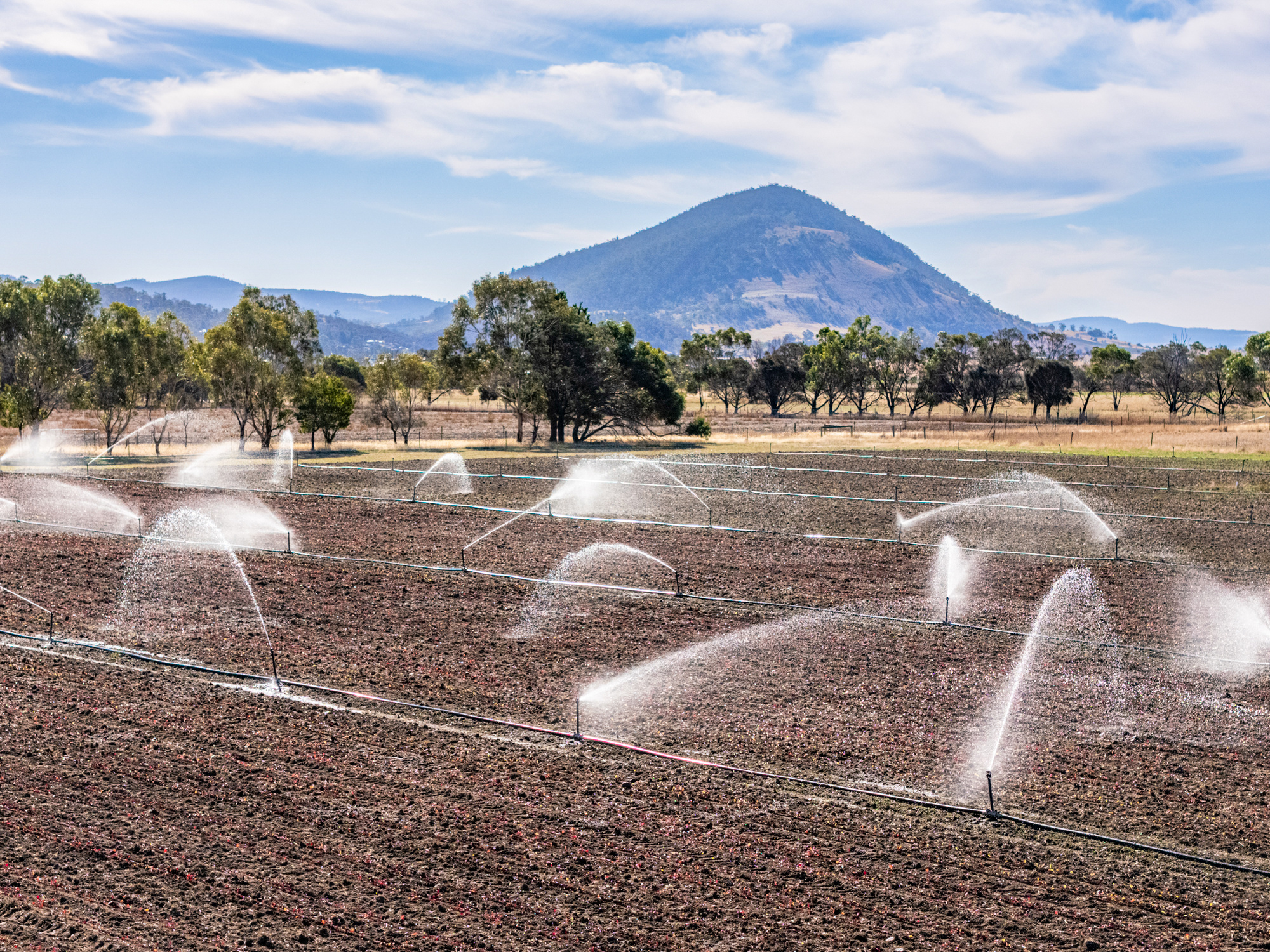 383 Prossers Road, Richmond, TAS, 7025 - Image 5