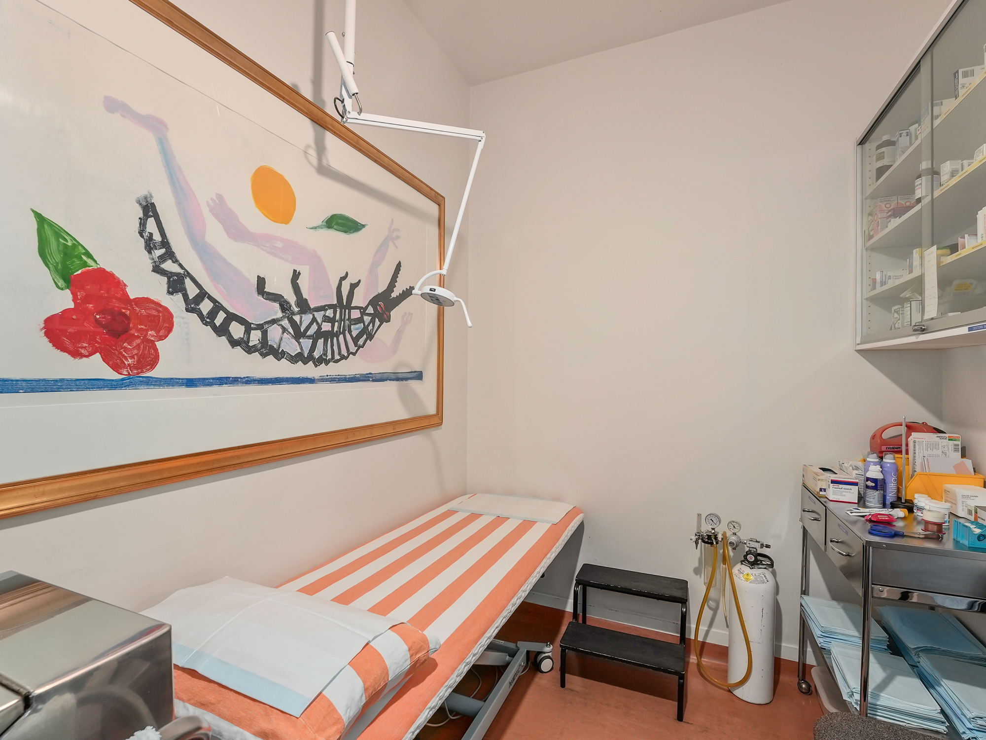 50a Frankland Street, Launceston, TAS, 7250 - Image 8