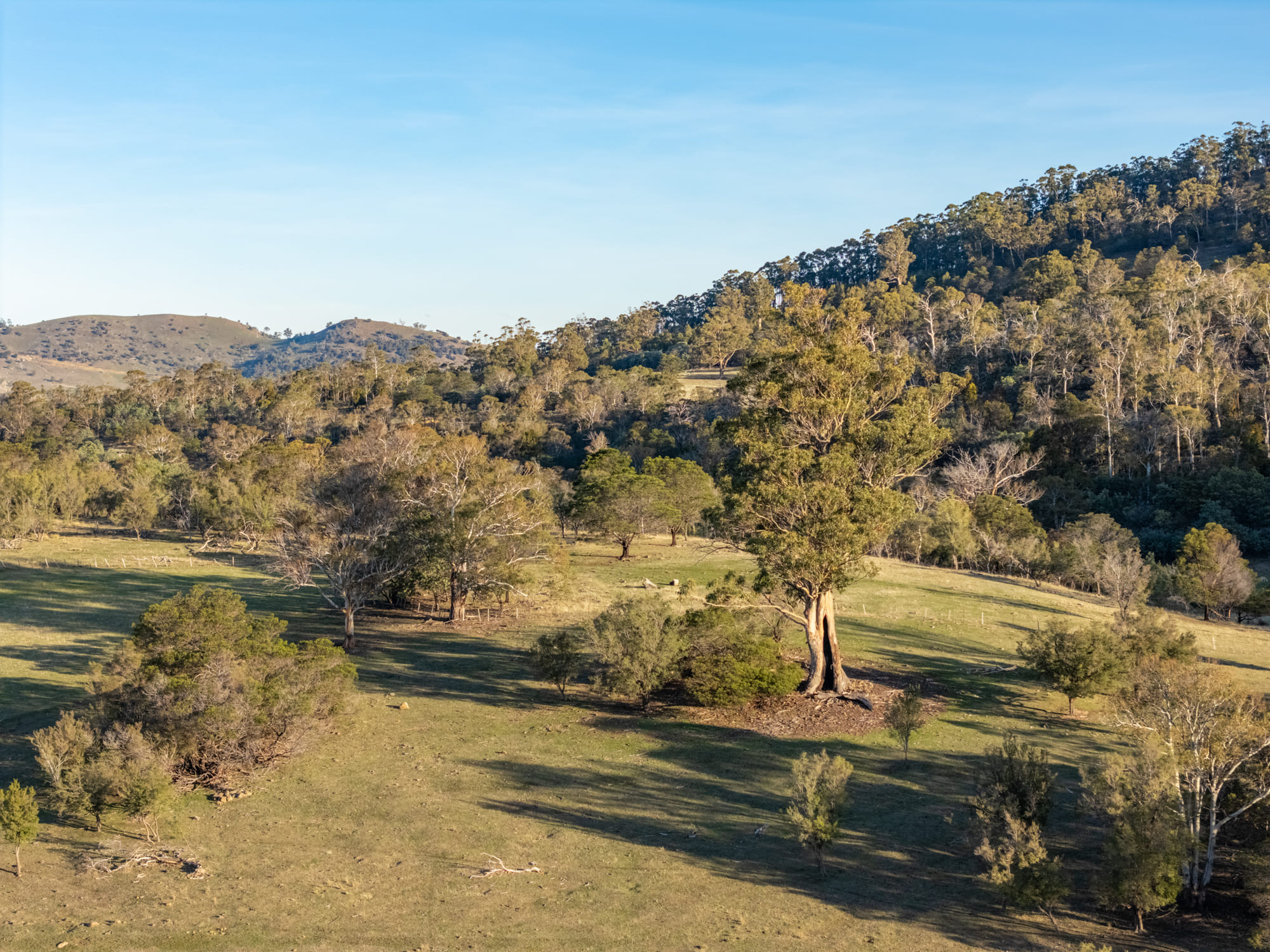 199 Williams Road, Tea Tree, TAS, 7017 - Image 18
