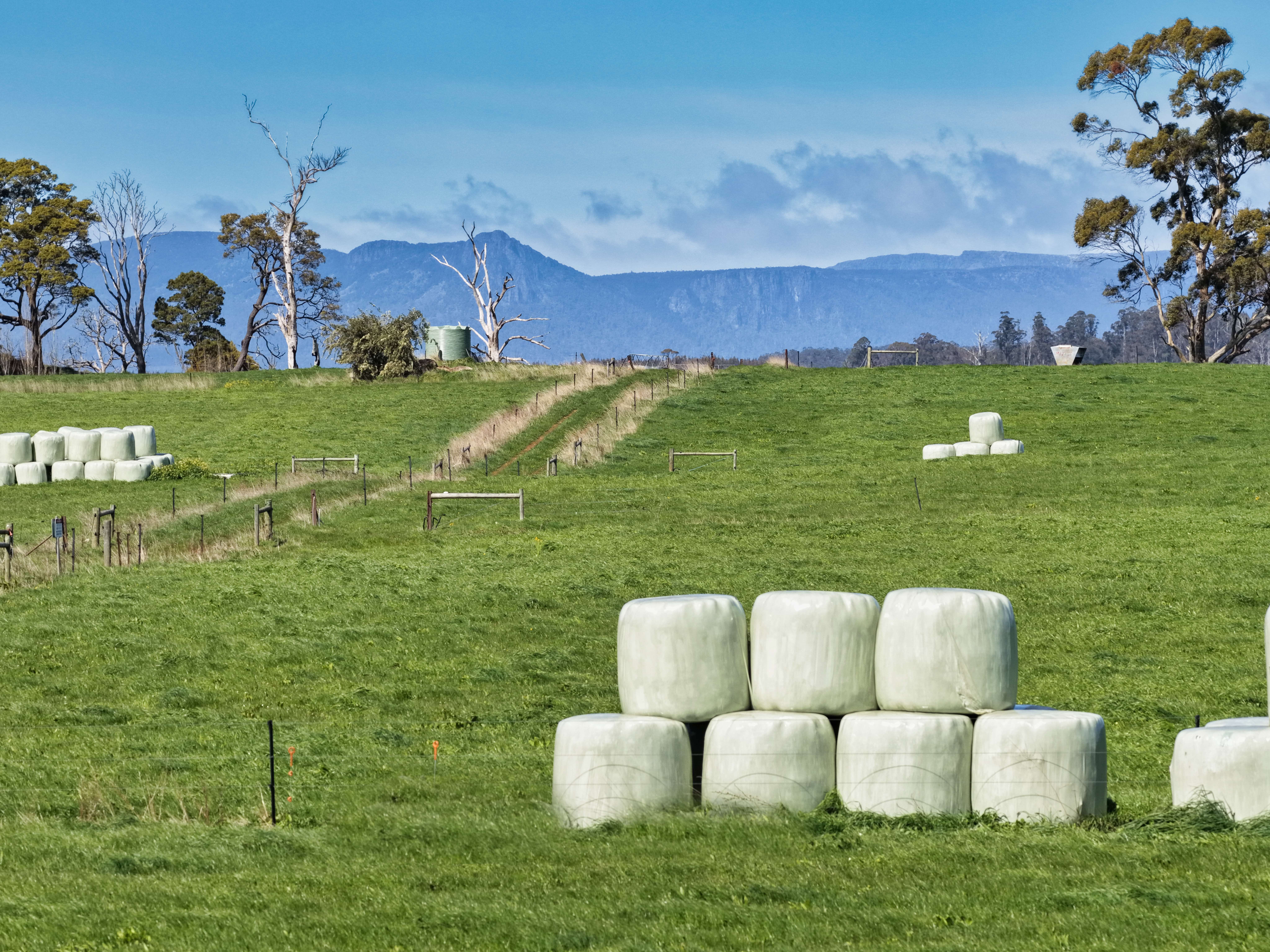 475 Dunorlan Road, Dunorlan, TAS, 7304 - Image 14