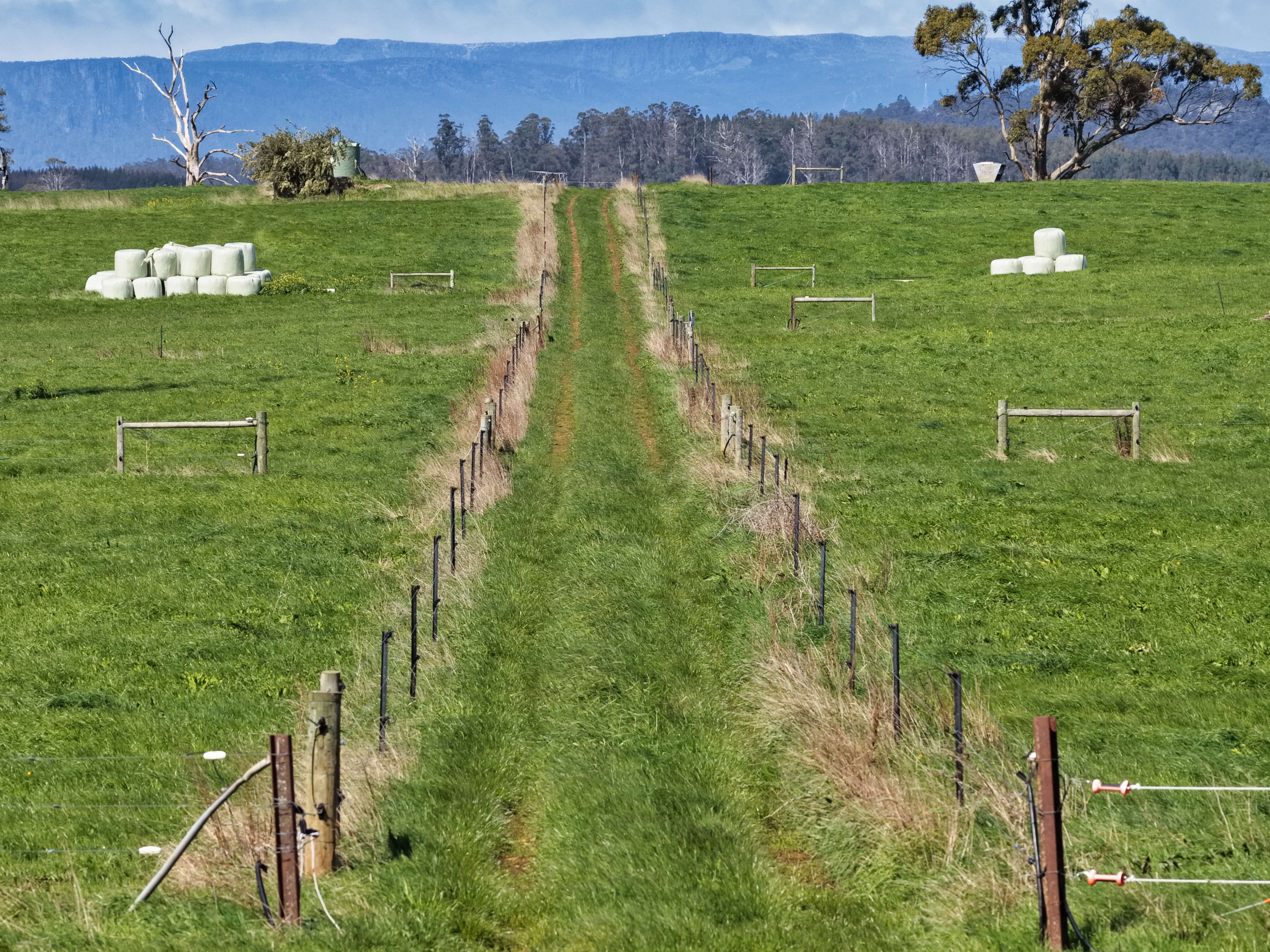 475 Dunorlan Road, Dunorlan, TAS, 7304 - Image 7
