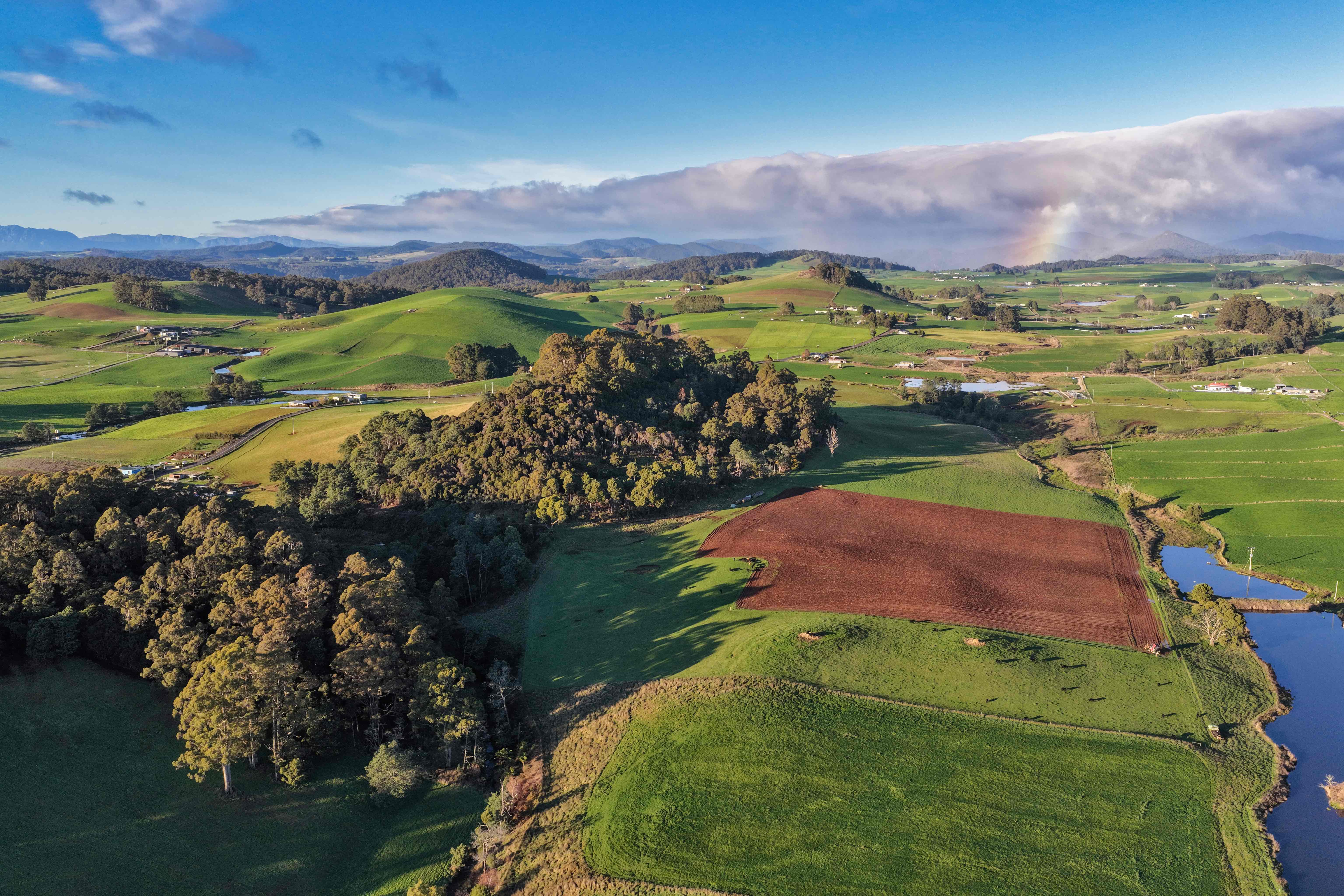 1438 Pine Road, Riana, TAS, 7316 - Image 4