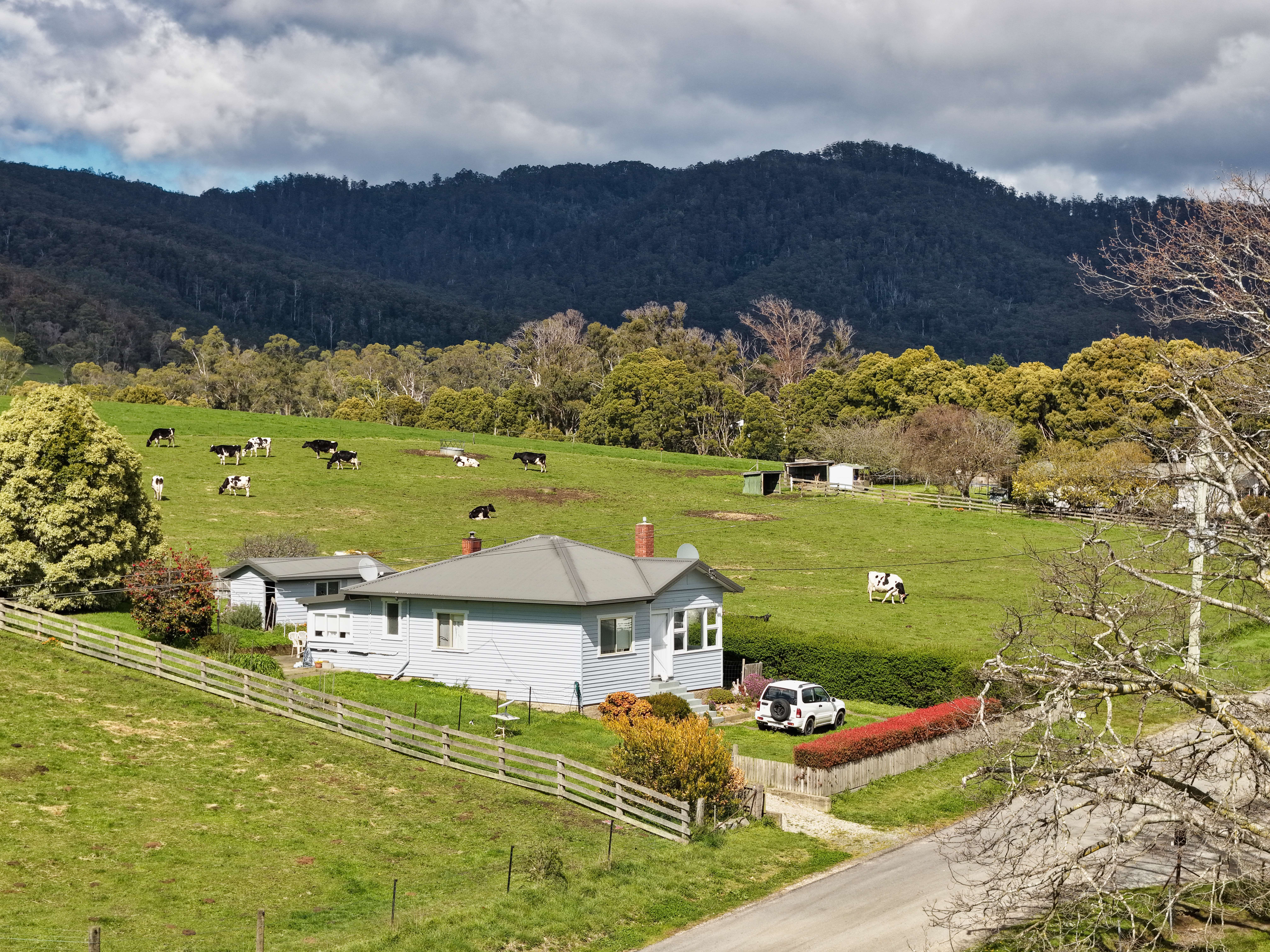 163 St Columba Falls Road, Pyengana, TAS, 7216 - Image 16