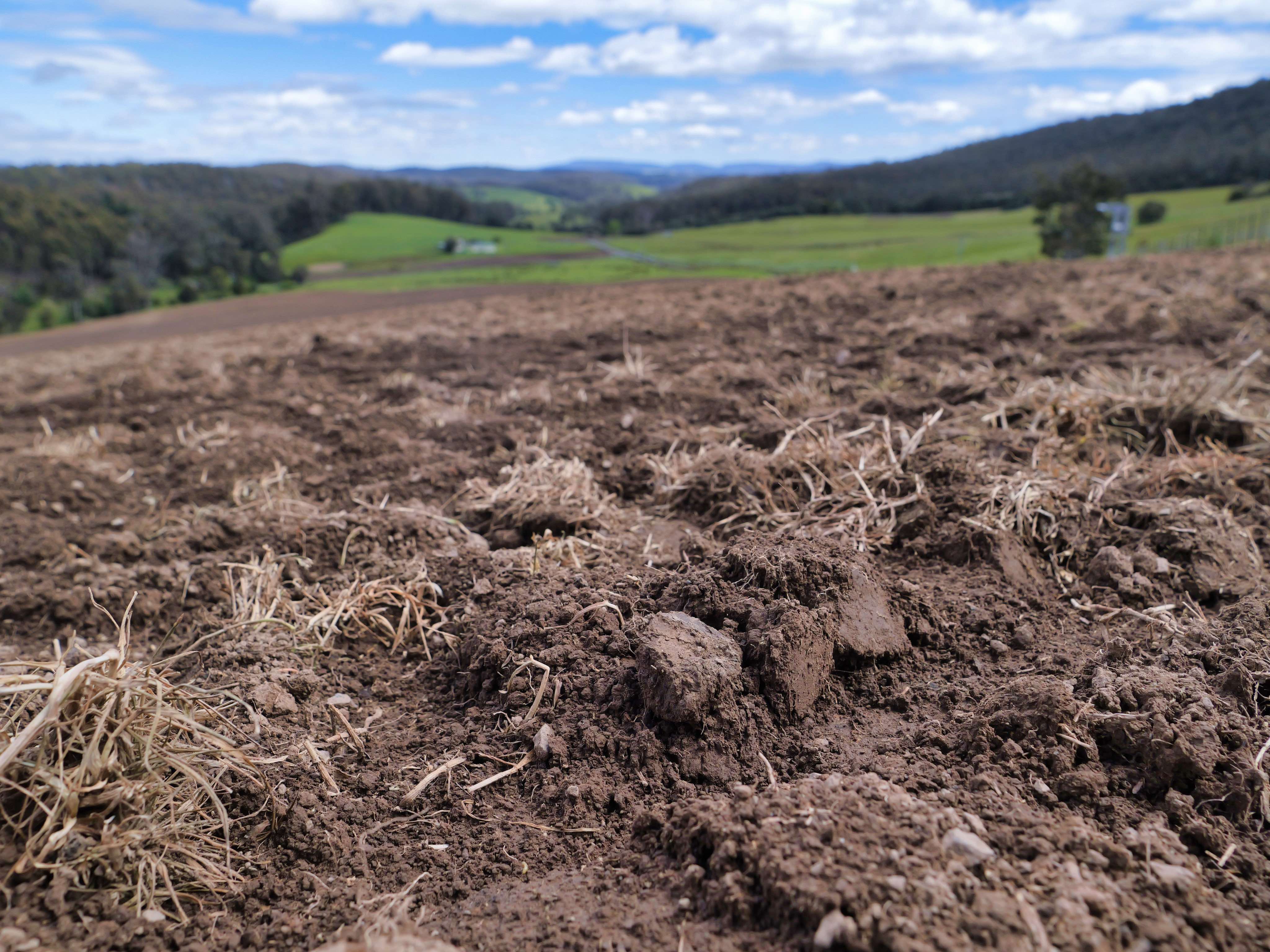 983 Bogan Road, Golden Valley, TAS, 7304 - Image 5