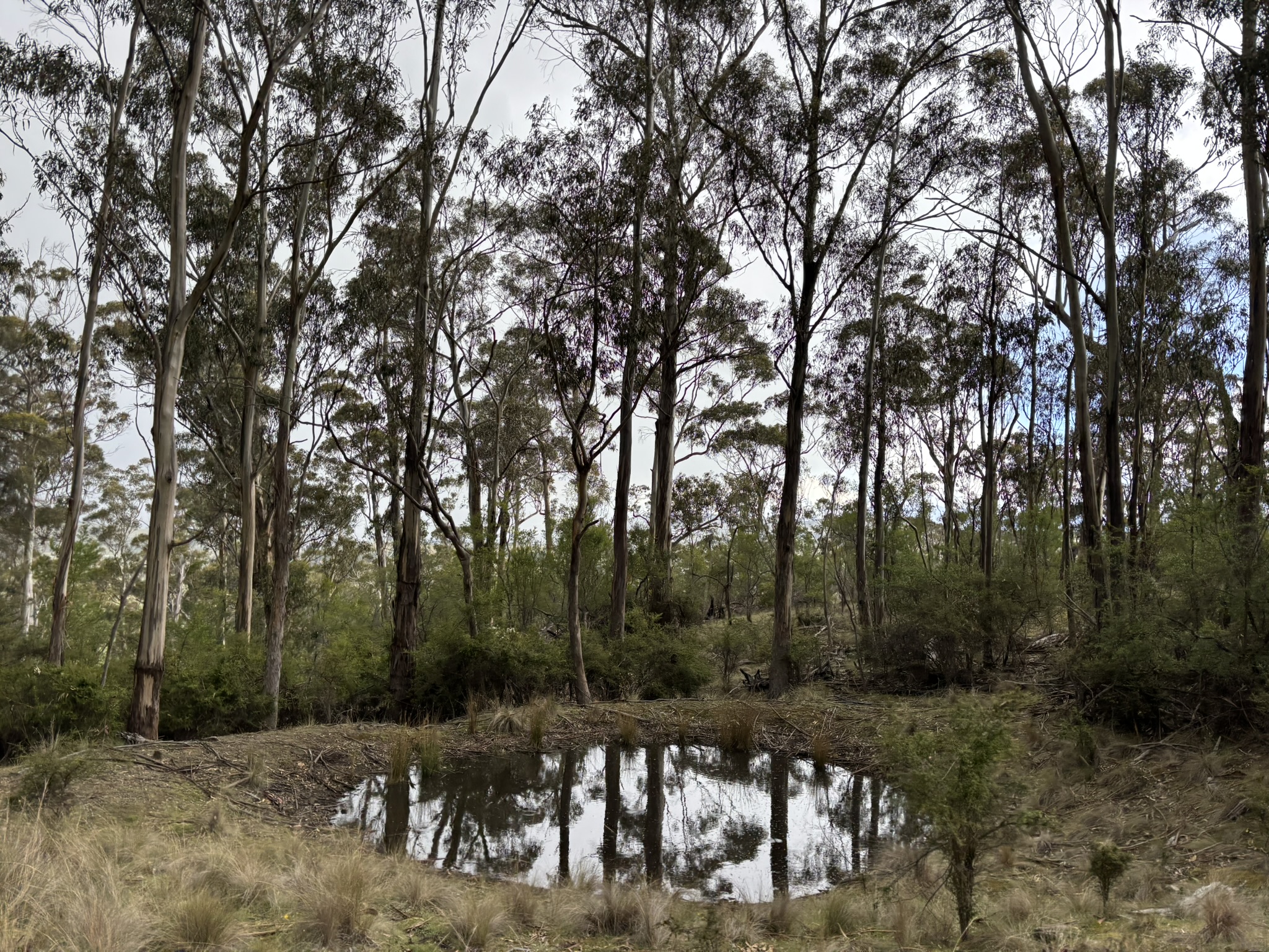 PID 2673110 Leprena Road, Orielton, TAS, 7172 - Image 20