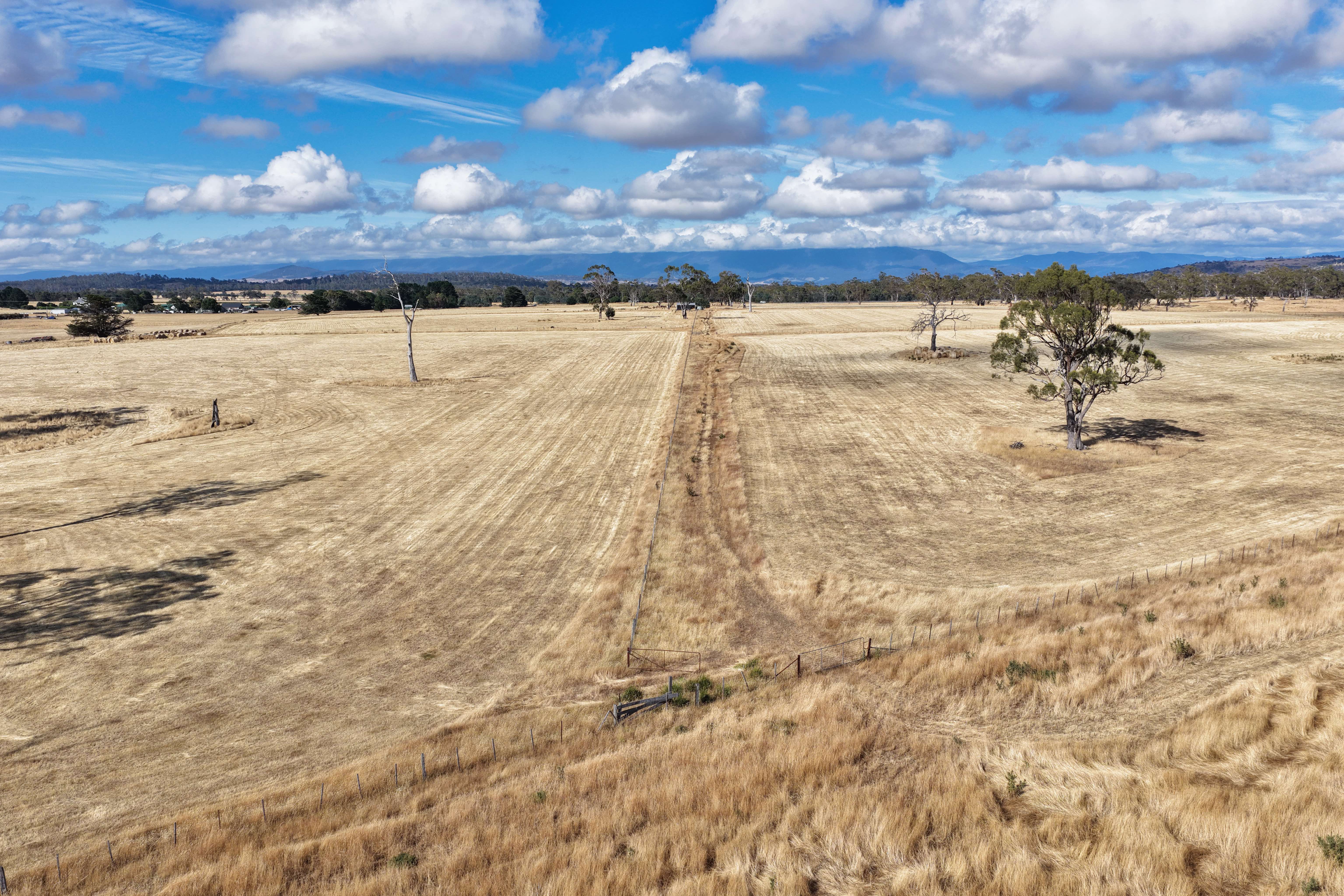 - Leake Street, Cleveland, TAS, 7211 - Image 13