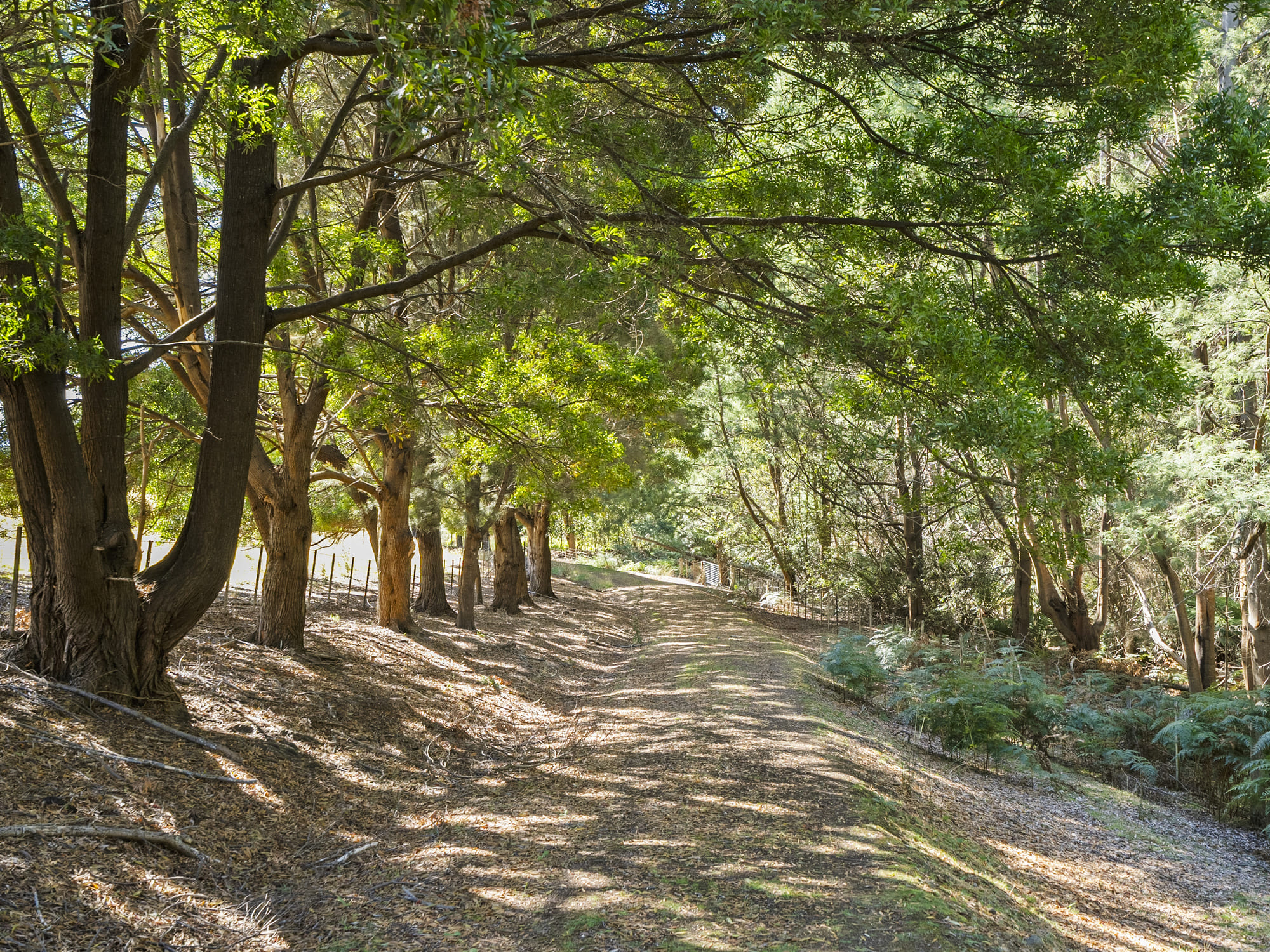 729 Nubeena Road and 44 Coppings Road, Premaydena, TAS, 7185 - Image 10