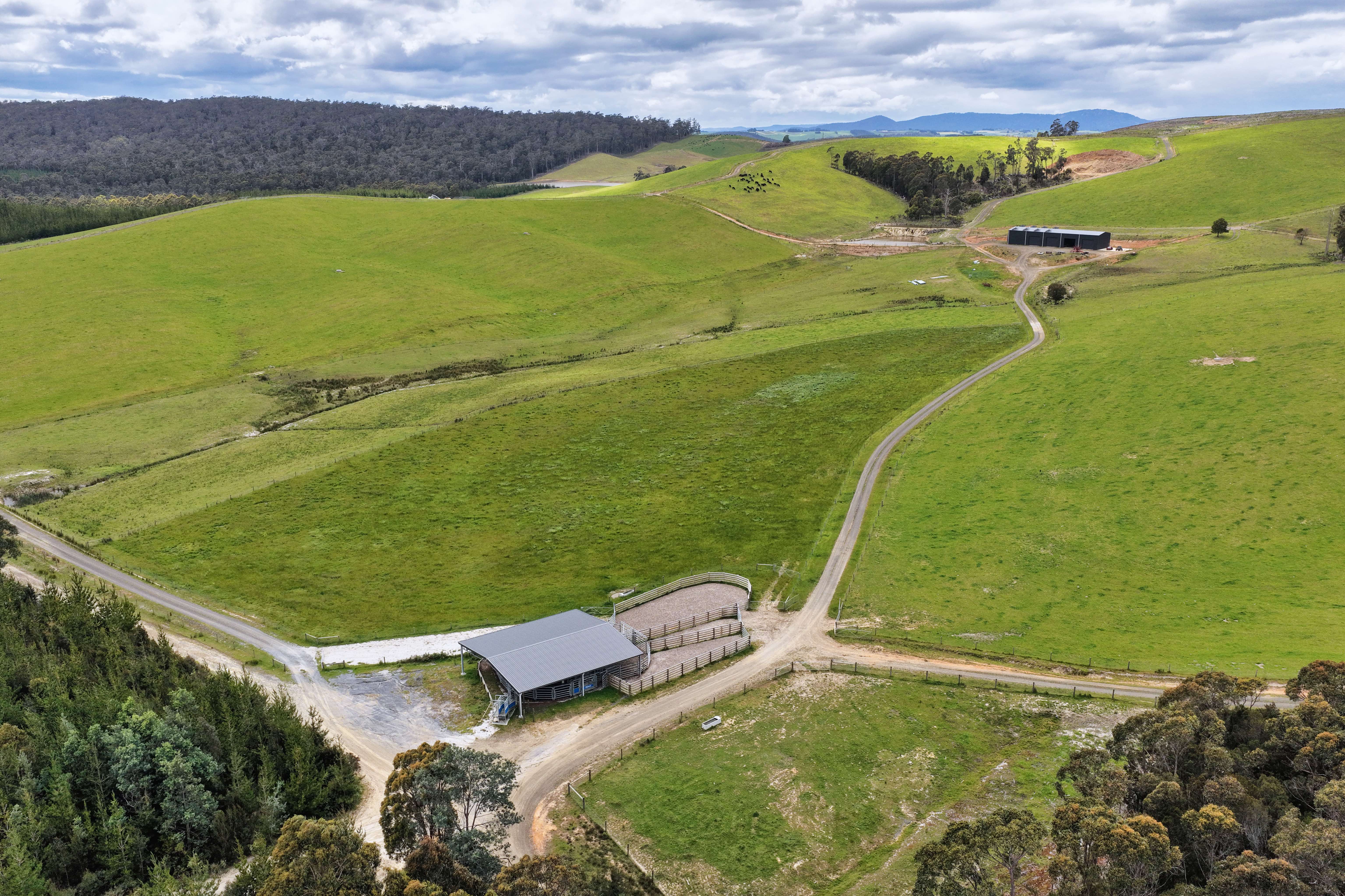 62 Bridport Back Road, Nabowla For Sale by Farmbuy.com - image 13