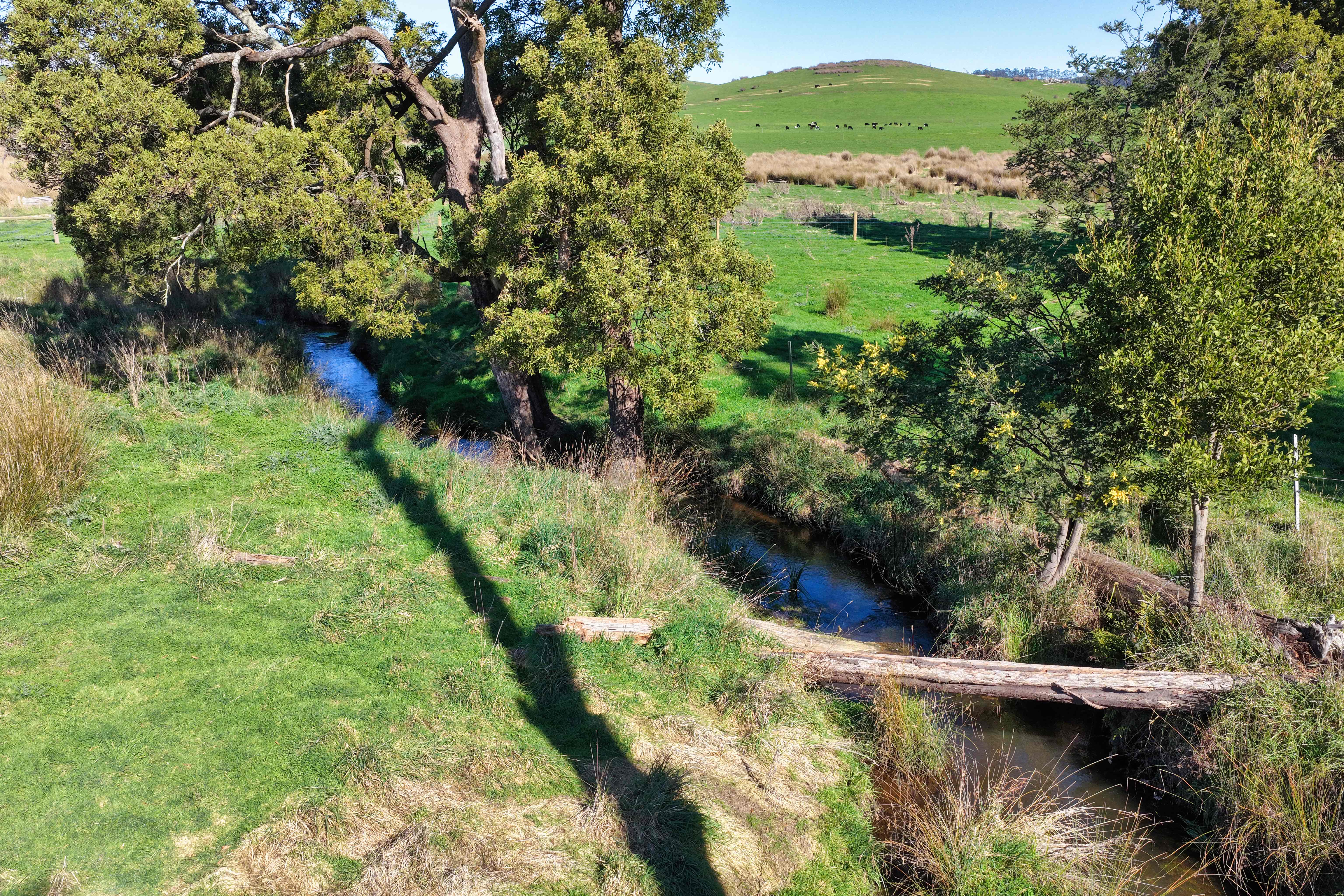 Warrentinna Road, Winnaleah, TAS, 7265 - Image 10